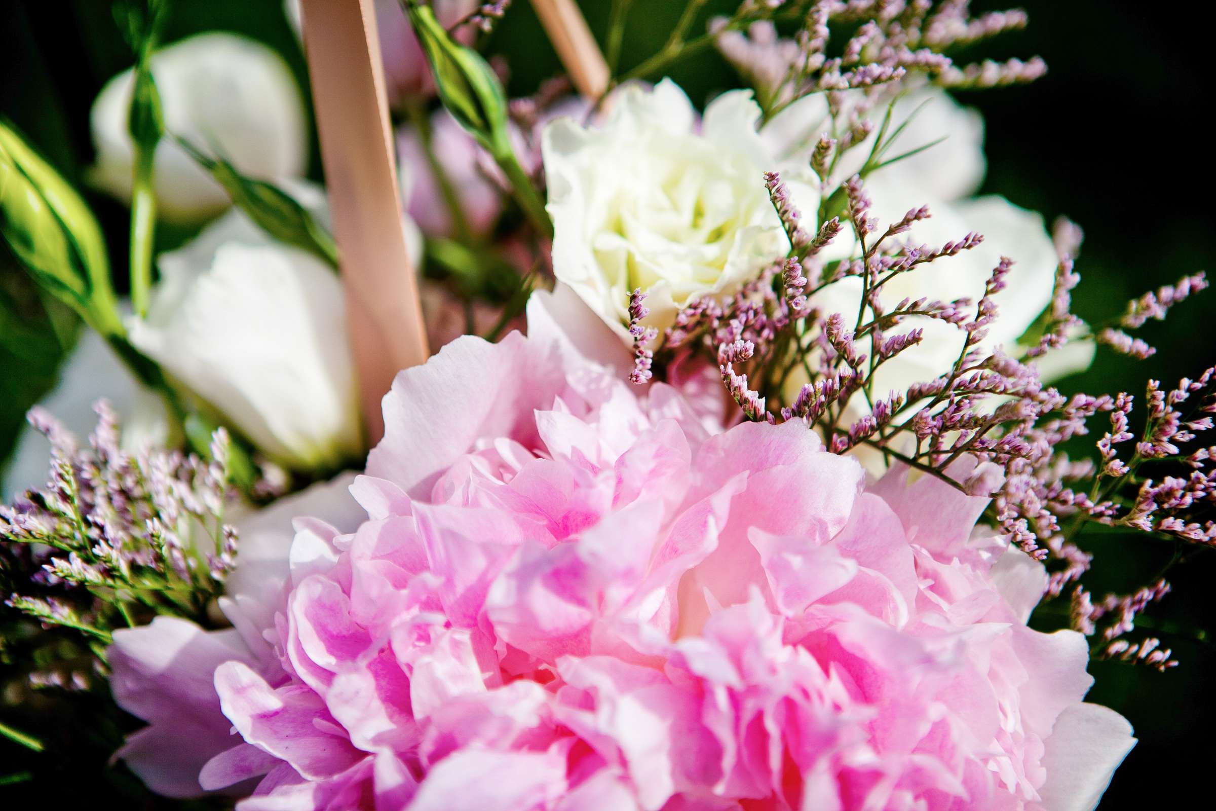 Scripps Seaside Forum Wedding, Tamara and RJ Wedding Photo #319684 by True Photography