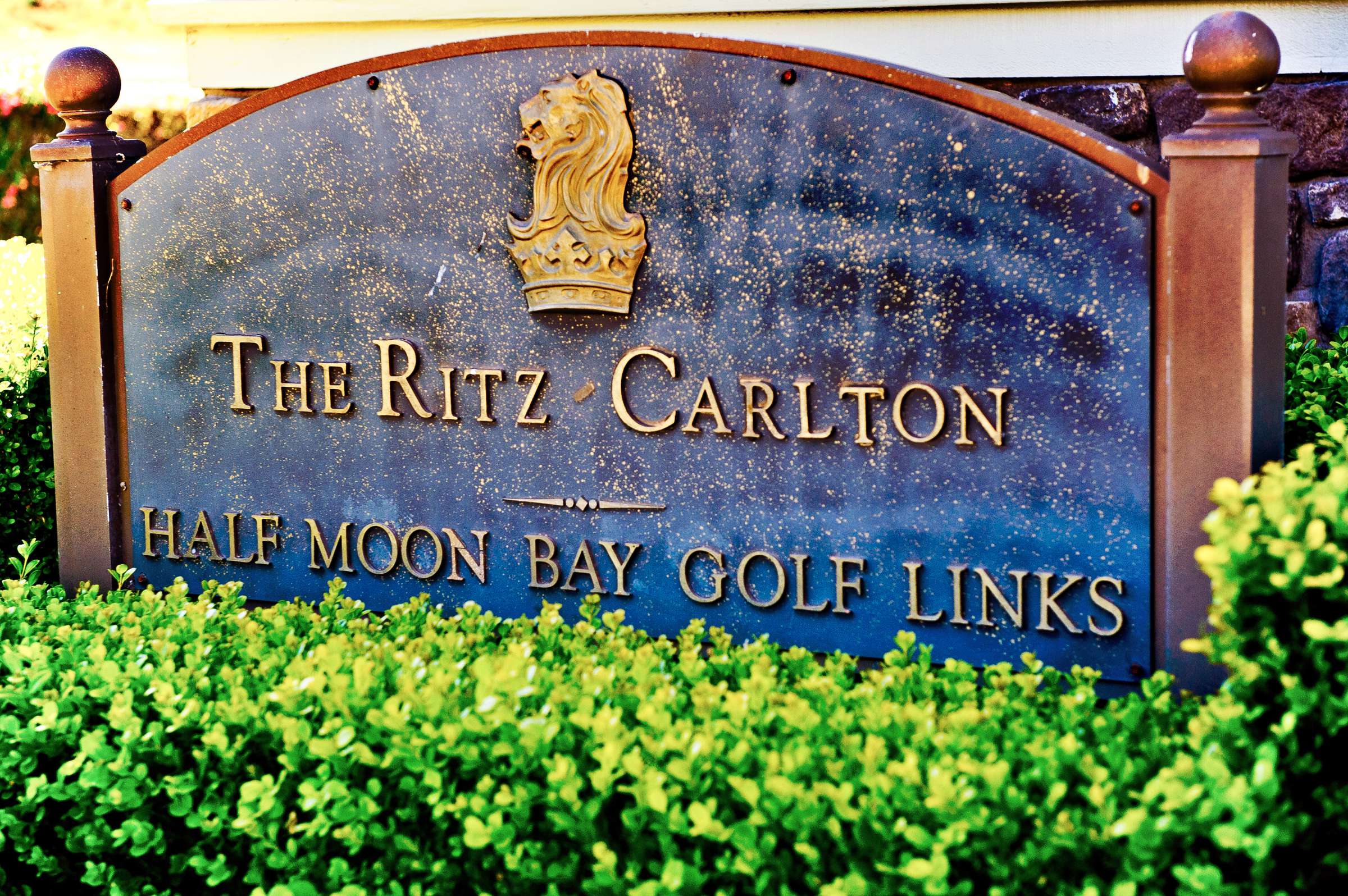 Ritz Carlton Half Moon Bay Wedding, Jin and BJ Wedding Photo #320373 by True Photography