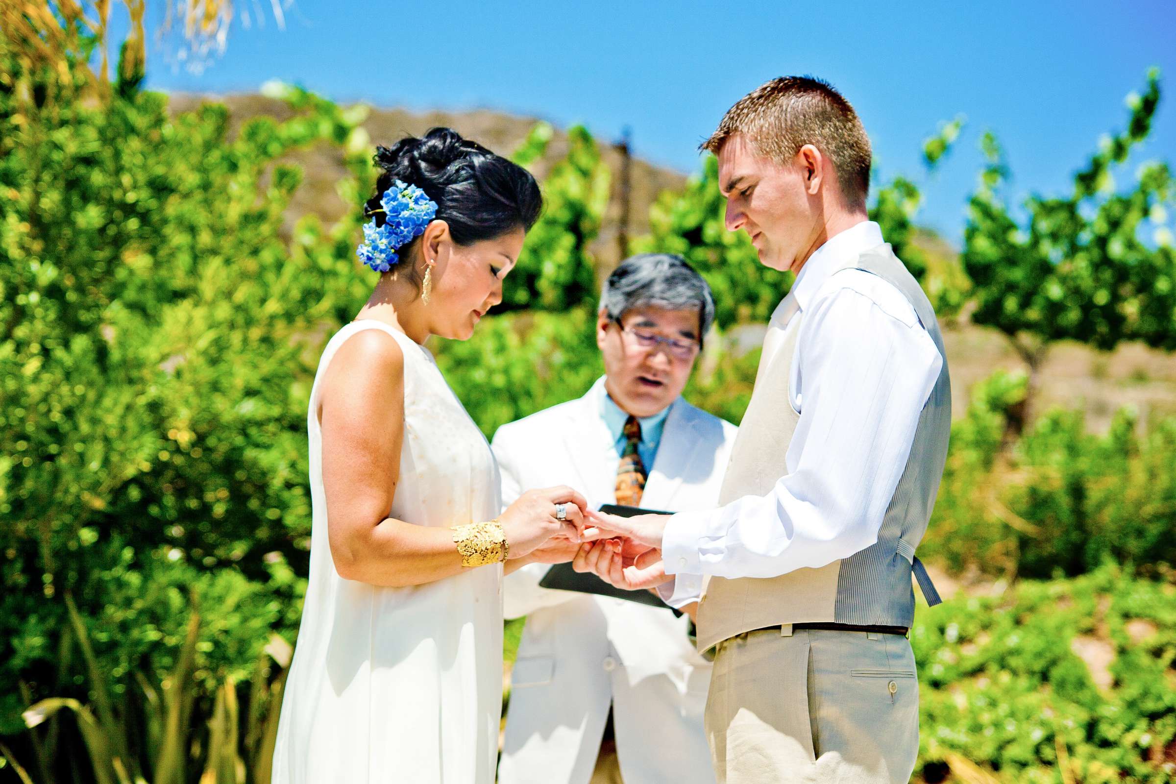 Wedding, Brianna and Cory Wedding Photo #320498 by True Photography