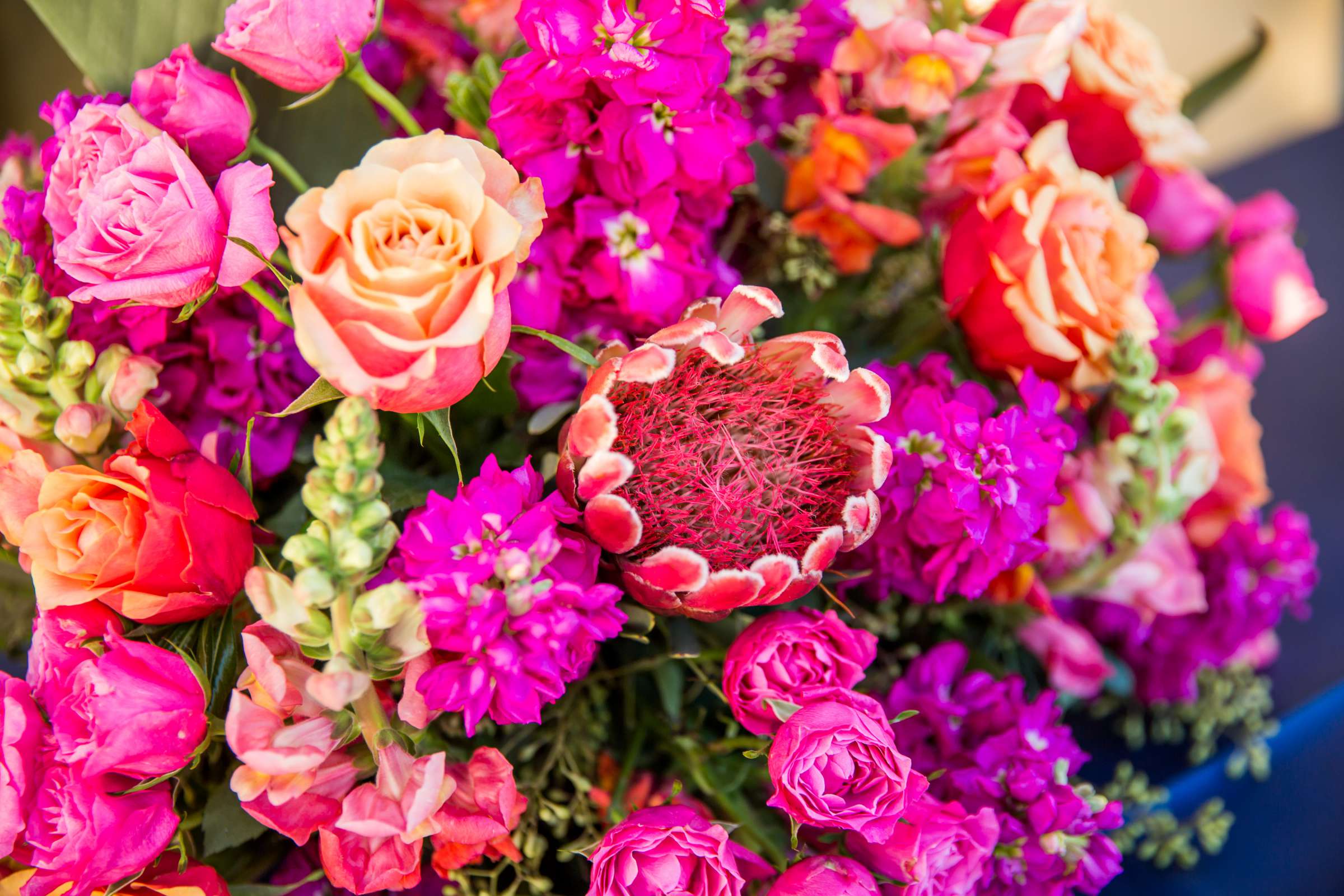 Scripps Seaside Forum Wedding coordinated by Aquilone Events, Meg and Adam Wedding Photo #320906 by True Photography