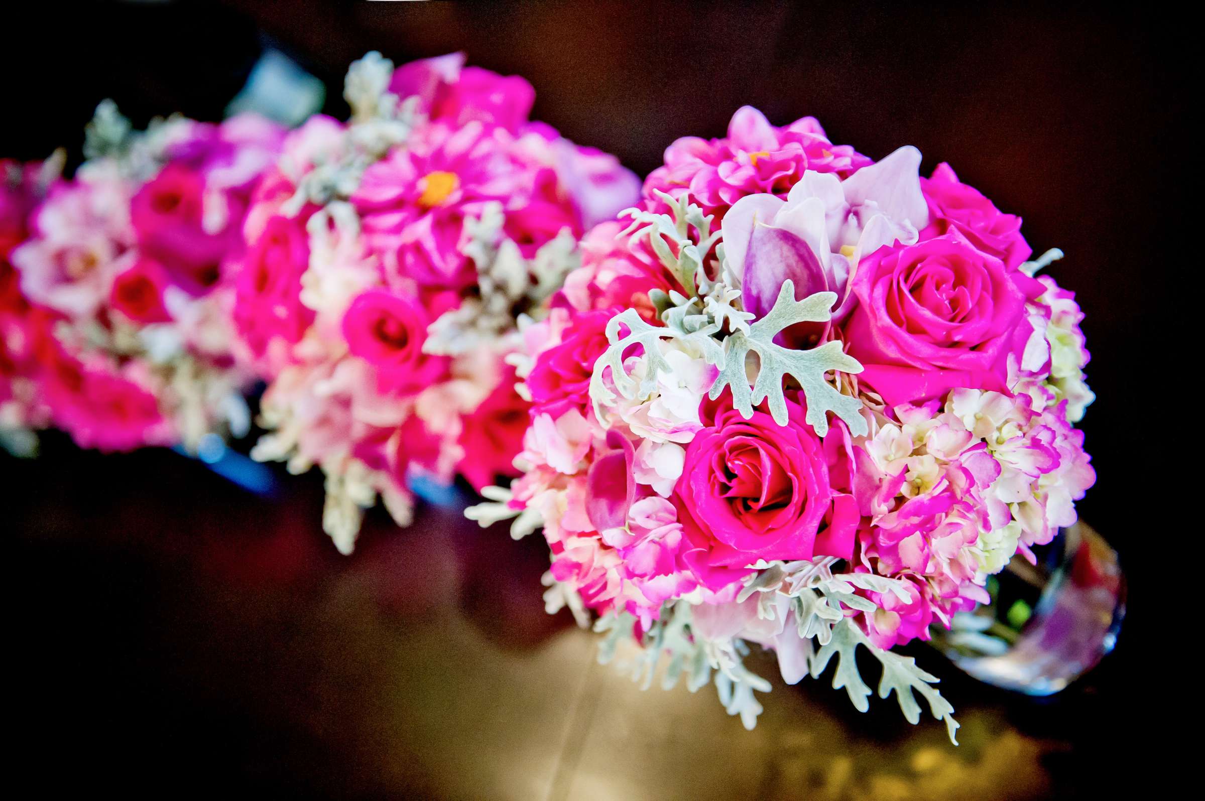 Cal State San Marcos Wedding coordinated by Cal State San Marcos, Briza and David Wedding Photo #321637 by True Photography