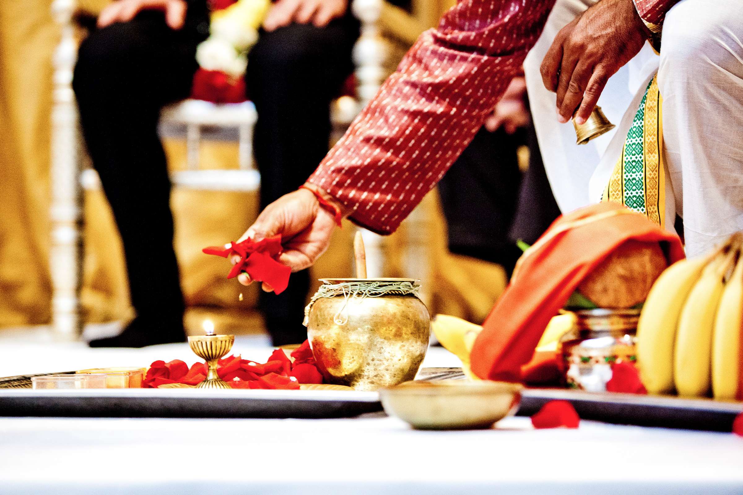 Hyatt Regency La Jolla Wedding coordinated by Events 4 U, Nadia and Gregory Wedding Photo #324477 by True Photography