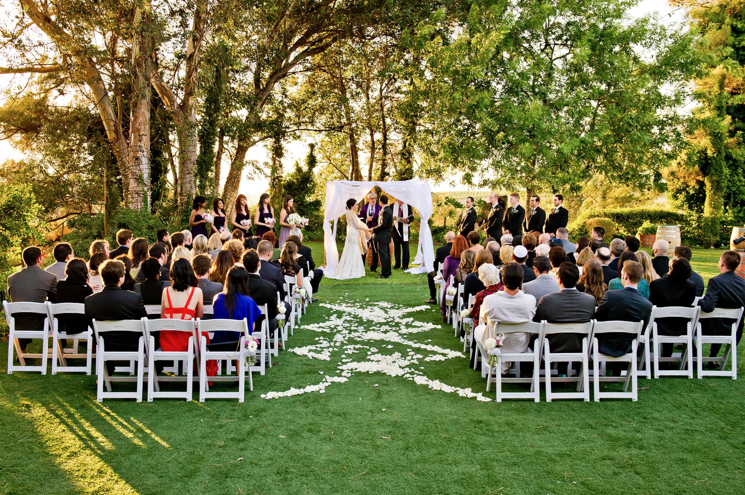 Falkner Winery Wedding coordinated by Storybook Weddings & Events, Daniella and Matthew Wedding Photo #325216 by True Photography