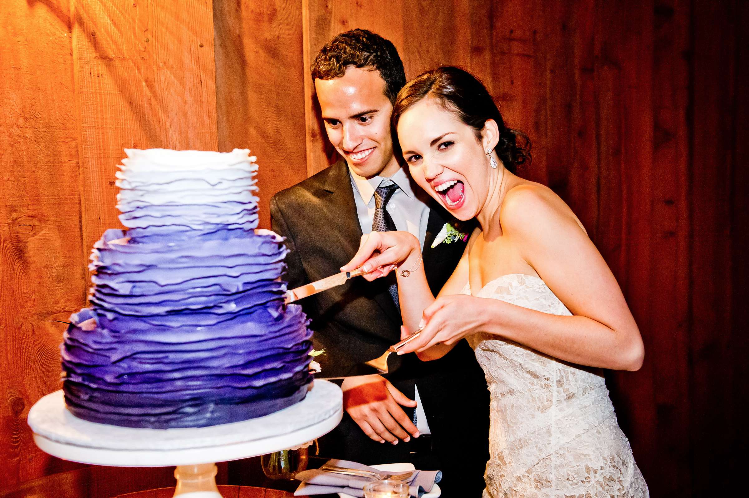 Falkner Winery Wedding coordinated by Storybook Weddings & Events, Daniella and Matthew Wedding Photo #325291 by True Photography