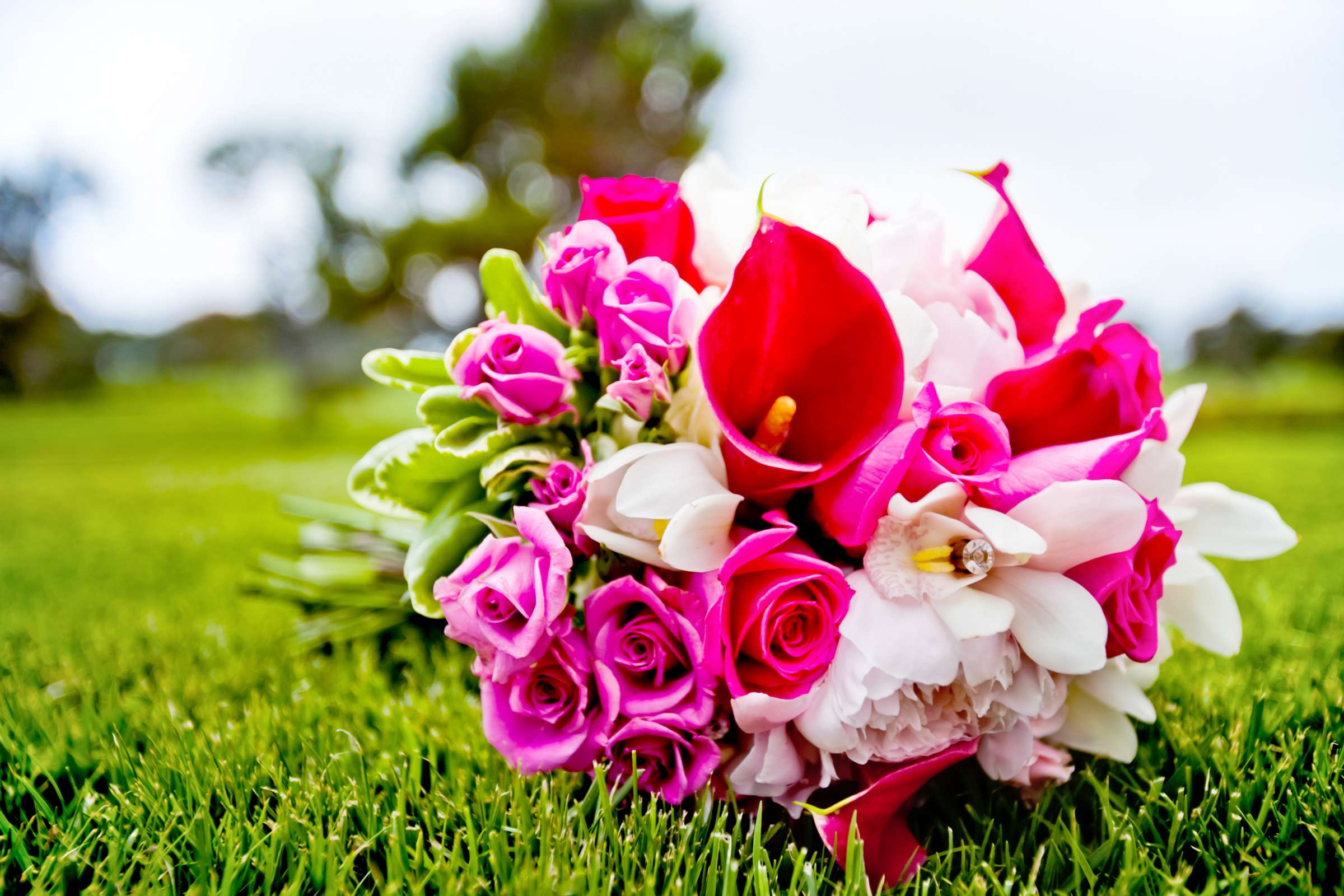 Hilton La Jolla Torrey Pines Wedding, Jaya and John Wedding Photo #328993 by True Photography