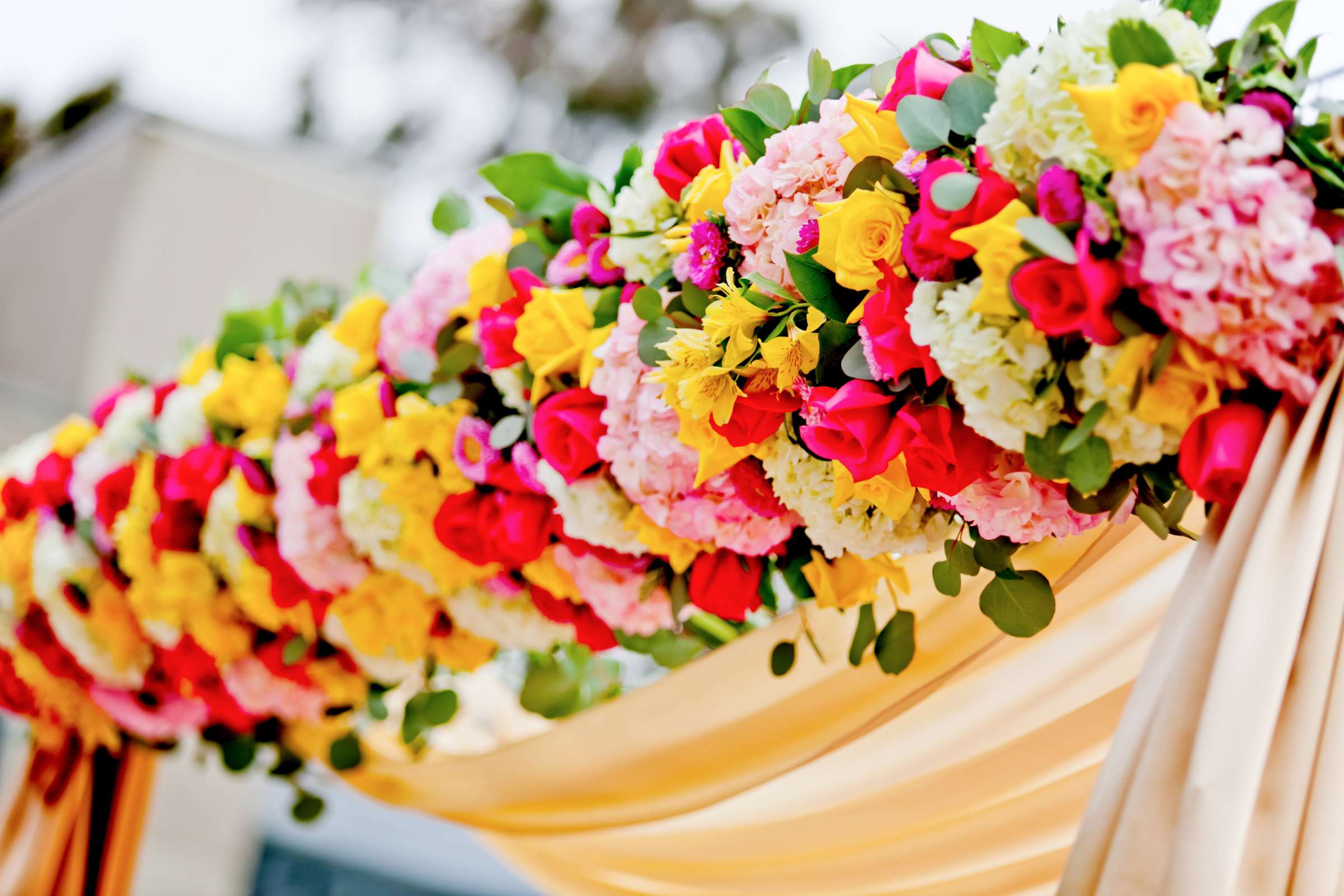 Hilton La Jolla Torrey Pines Wedding, Jaya and John Wedding Photo #329003 by True Photography