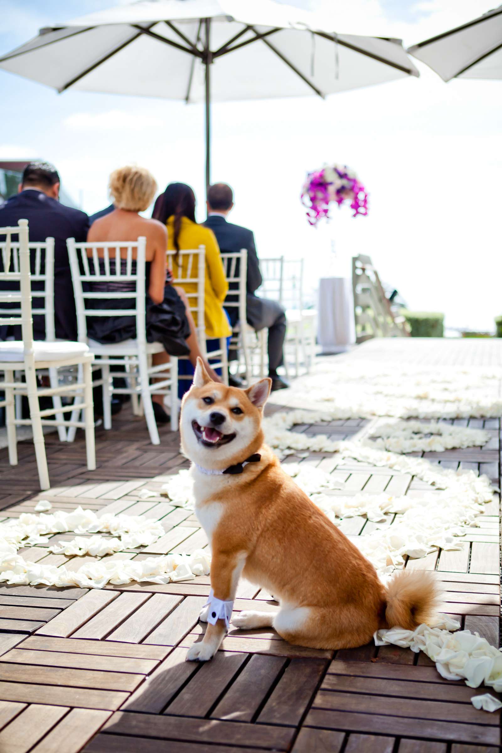 L'Auberge Wedding coordinated by White Lace Events & Design, Sulki and Brandon Wedding Photo #330400 by True Photography