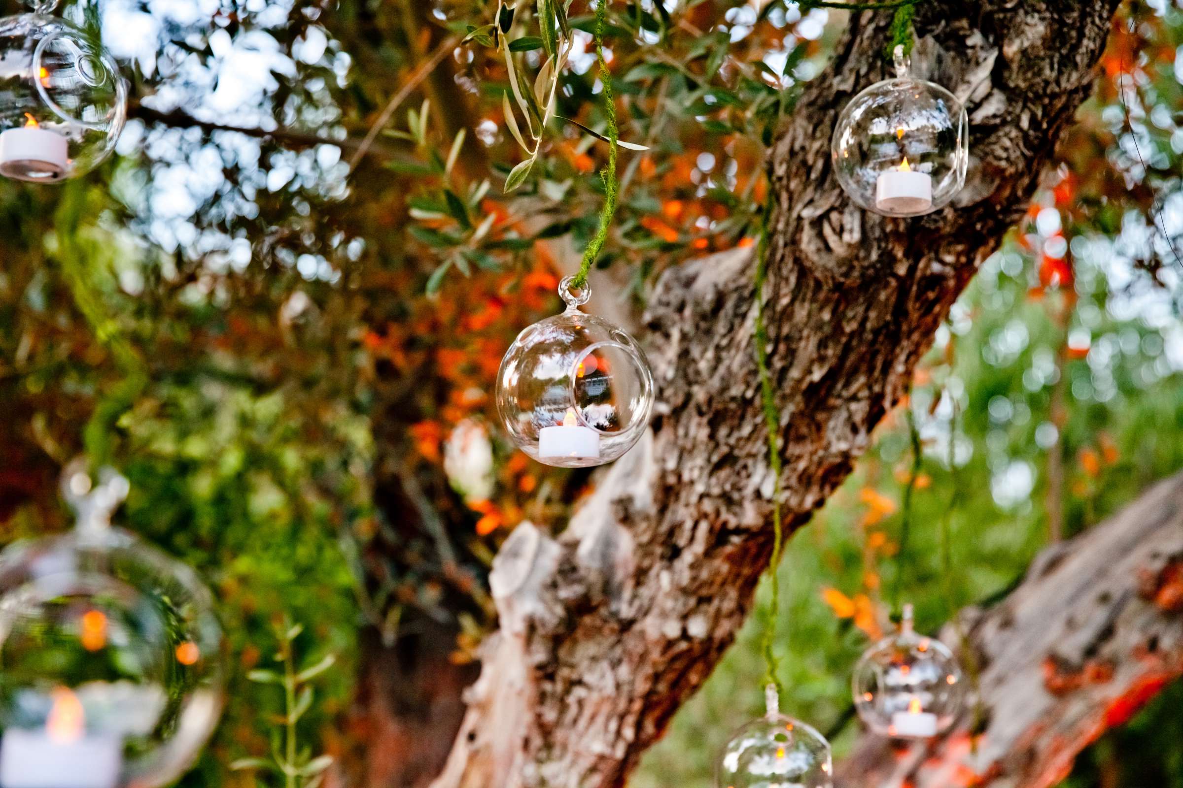 The Parker Wedding coordinated by Stephanie Grace Designs, Meghan and Eric Wedding Photo #333774 by True Photography