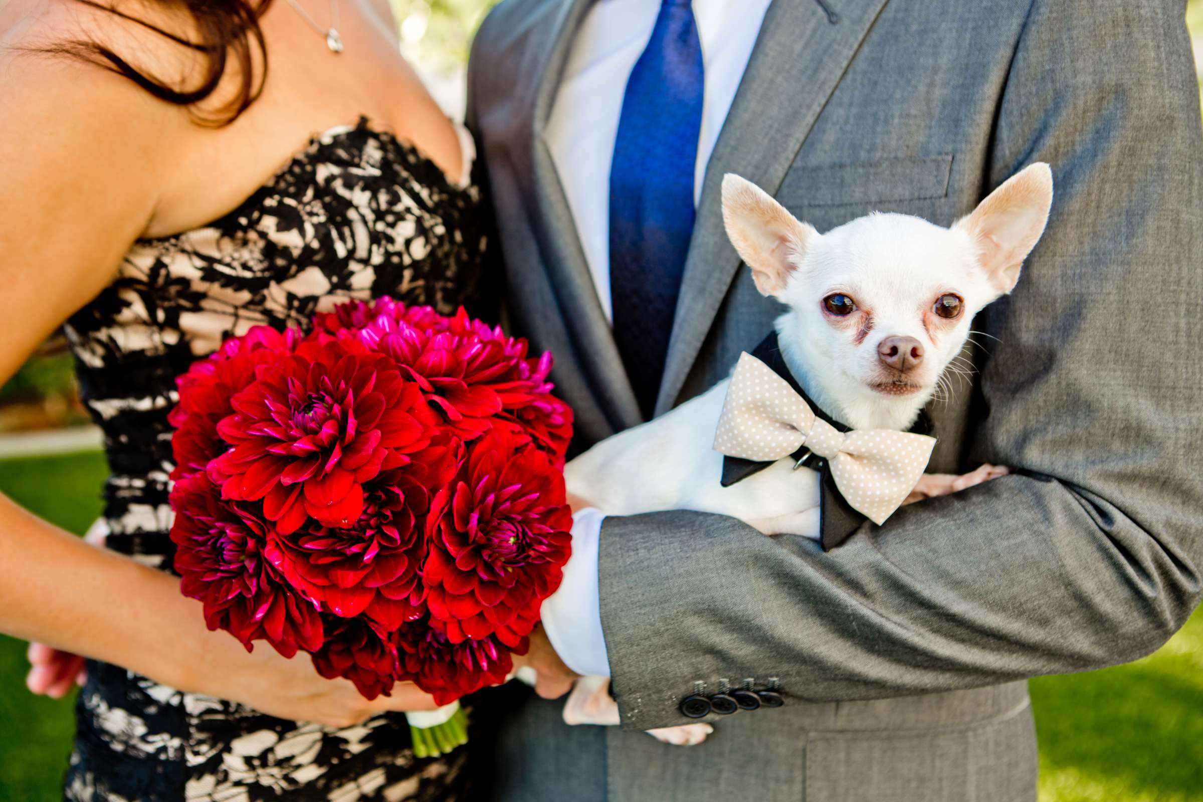 The Ultimate Skybox Wedding, Jennifer and David Wedding Photo #334706 by True Photography