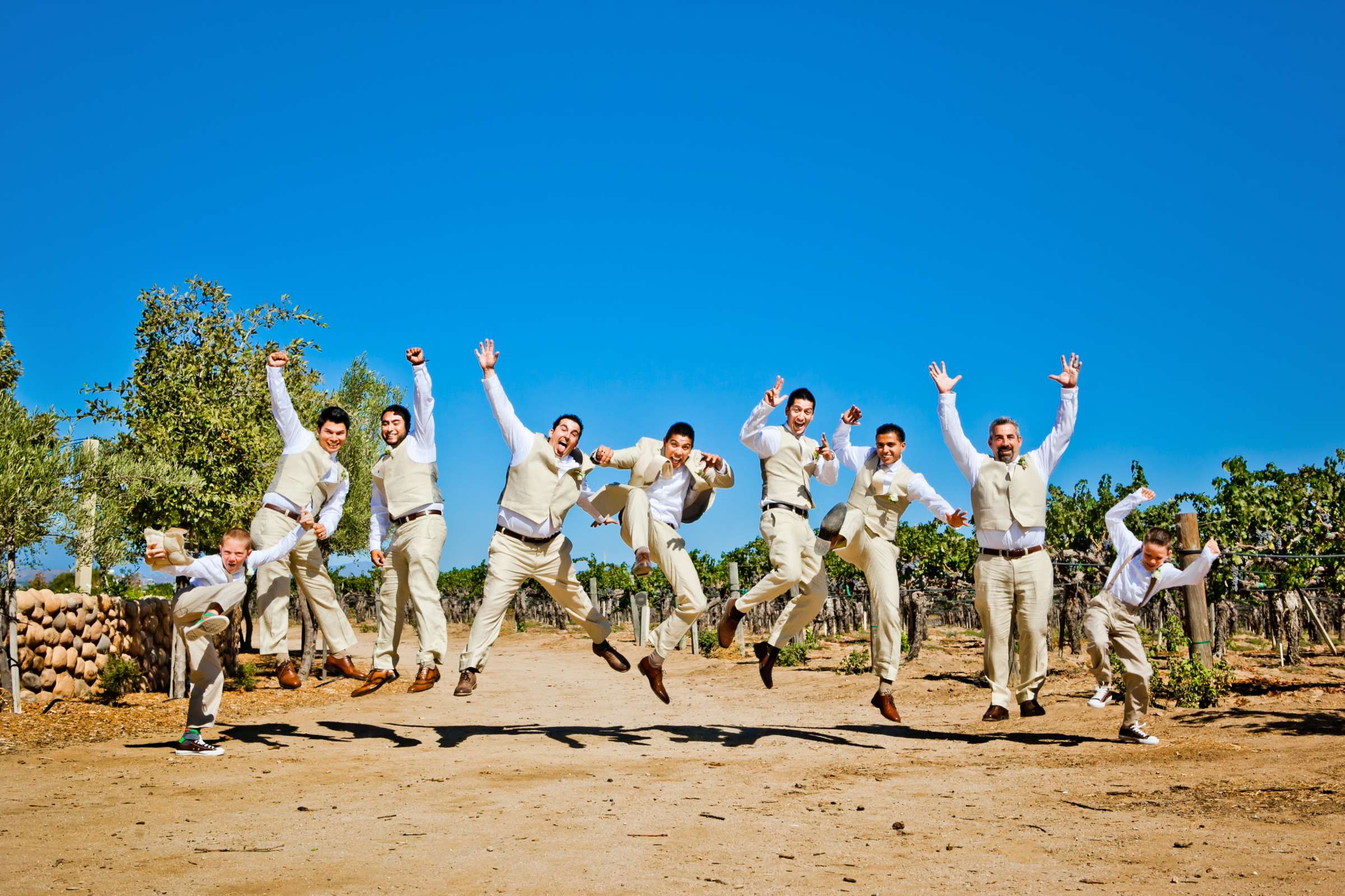 Ponte Estate Winery Wedding, Meagan and Adrian Wedding Photo #335084 by True Photography