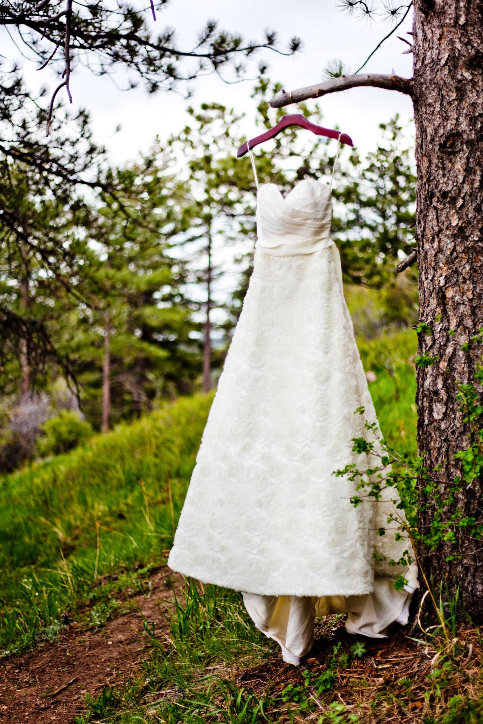 Mt. Vernon Canyon Club Wedding, Brittany and Ryan Wedding Photo #336781 by True Photography