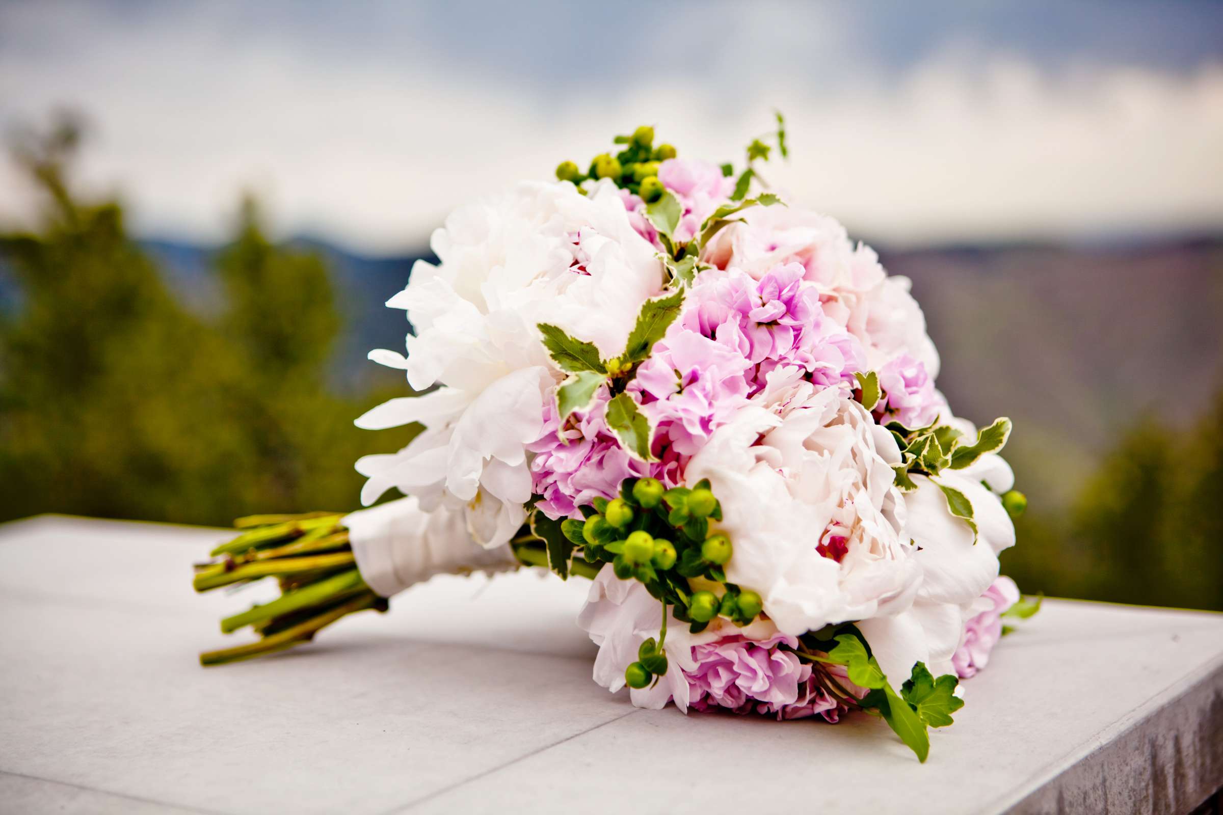 Mt. Vernon Canyon Club Wedding, Brittany and Ryan Wedding Photo #336832 by True Photography