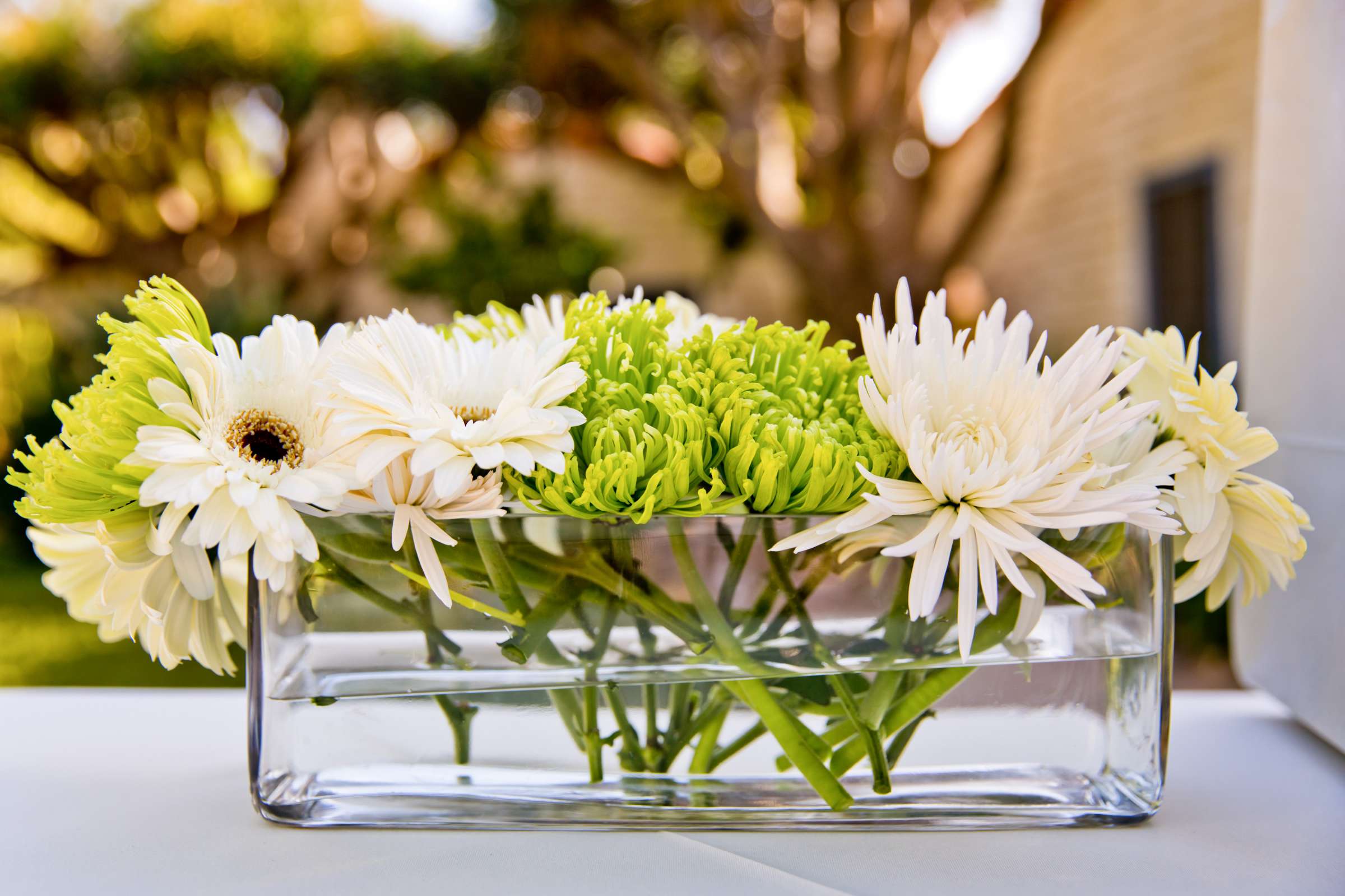 Leo Carrillo Ranch Wedding, Heather and Joshua Wedding Photo #339010 by True Photography