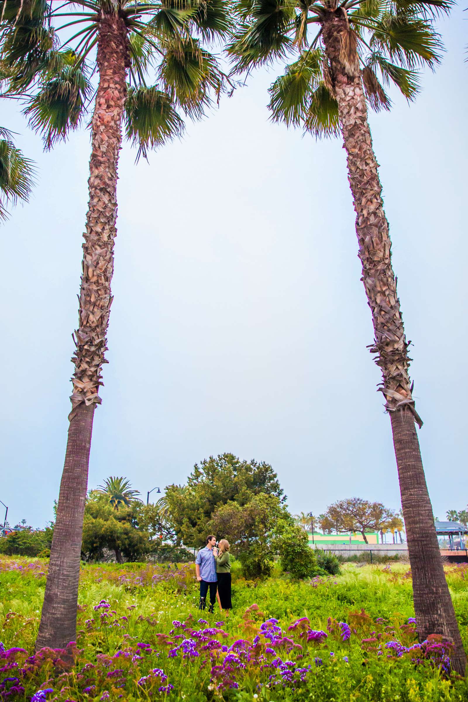 Engagement, Rachelle and Brandon Engagement Photo #17 by True Photography