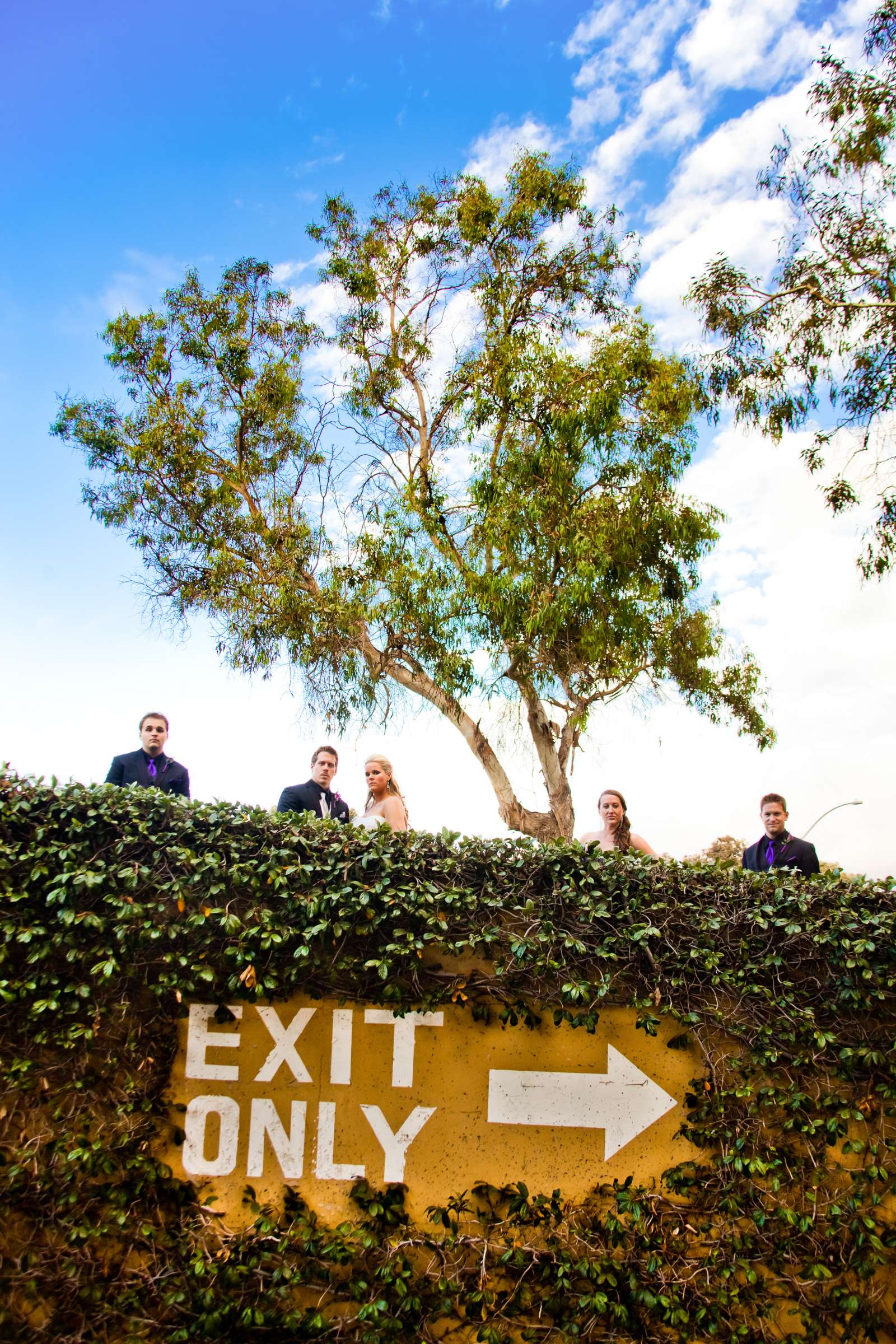 Hyatt Regency Mission Bay Wedding, Paris and Brandon Wedding Photo #339598 by True Photography