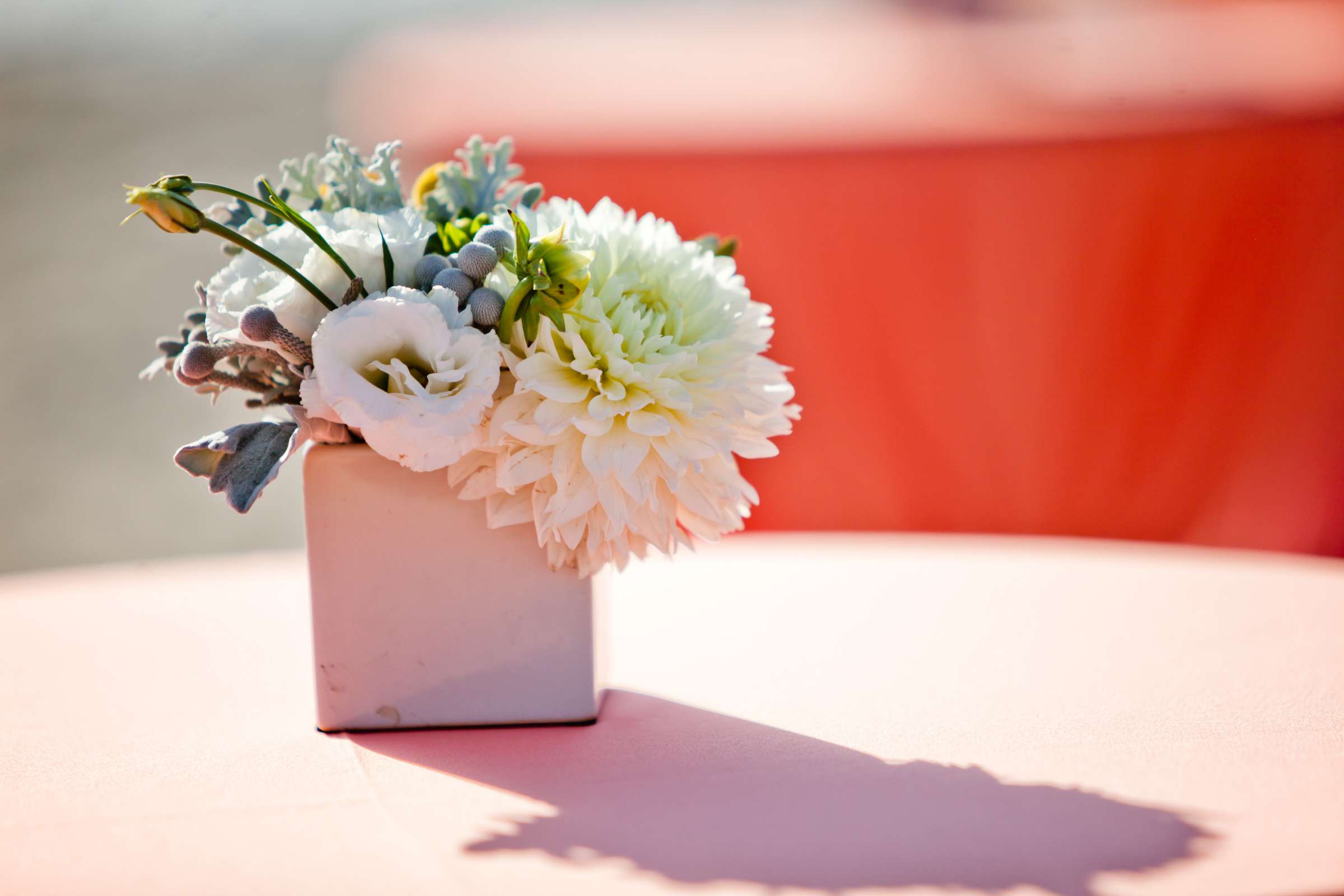 California State Beaches Wedding, Vanessa and Justin Wedding Photo #342147 by True Photography