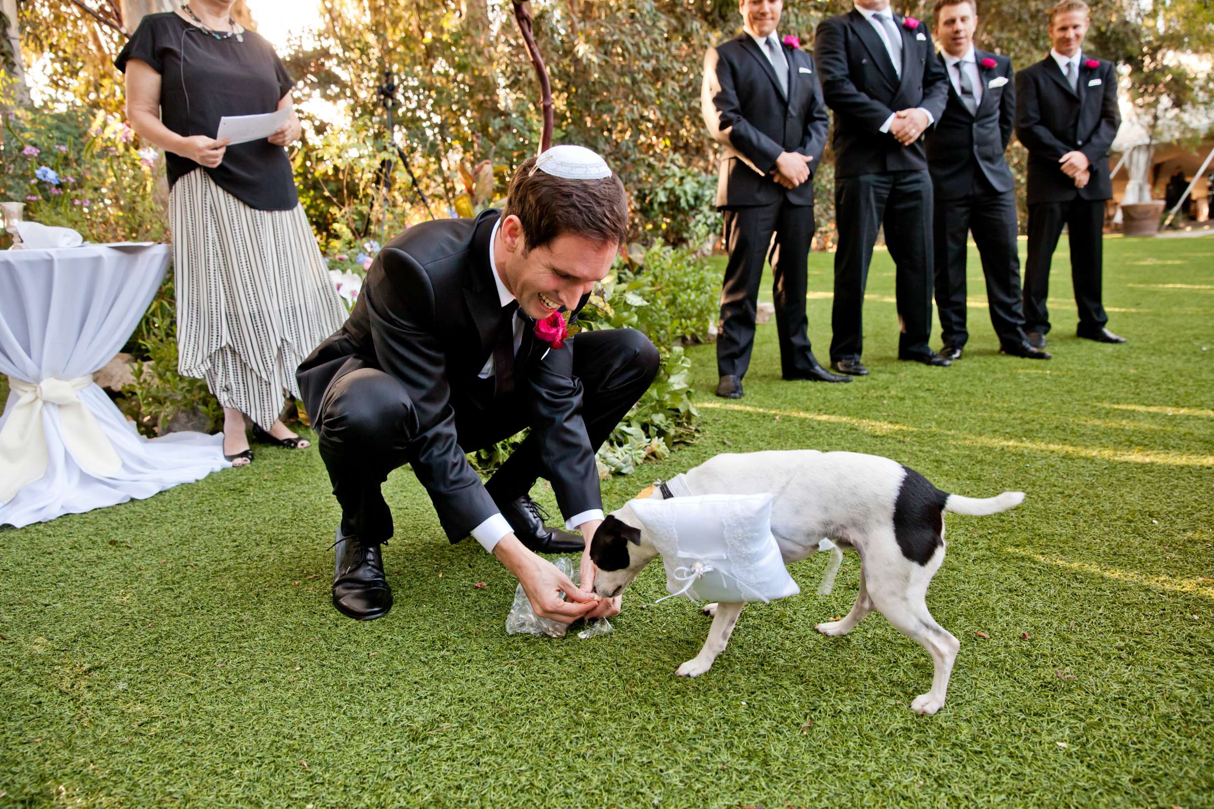 Twin Oaks House & Gardens Wedding Estate Wedding, Sara and Spencer Wedding Photo #342627 by True Photography