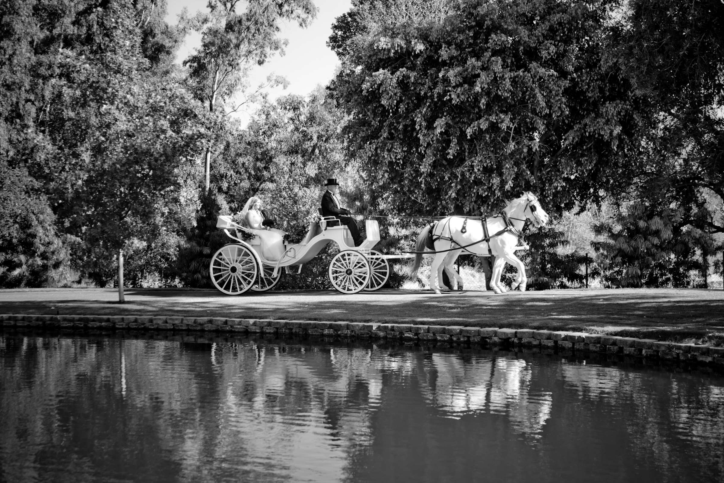 Grand Tradition Estate Wedding coordinated by Grand Tradition Estate, Shannan and Mathias Wedding Photo #344119 by True Photography