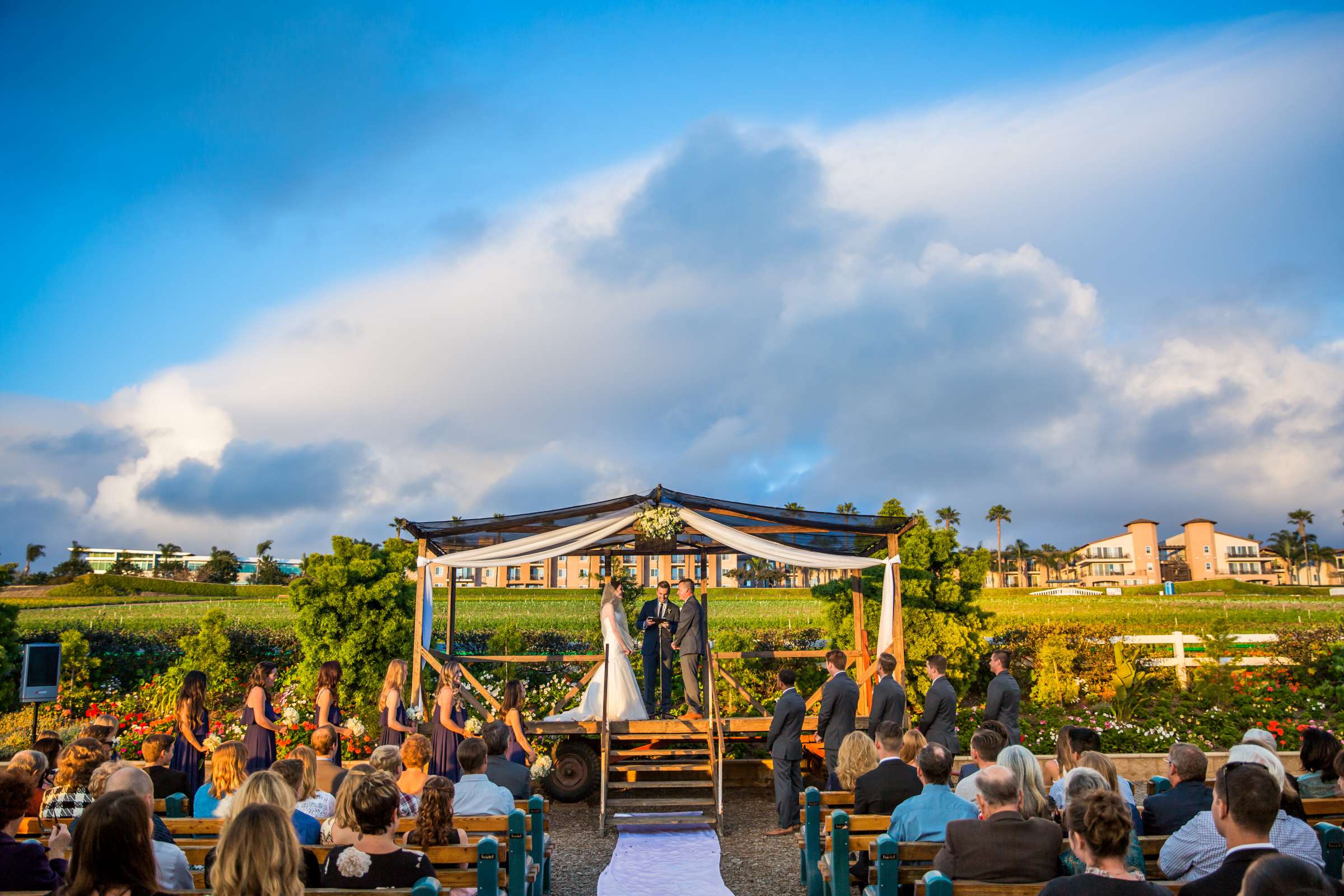 Ceremony at The Flower Fields at Carlsbad Ranch Wedding coordinated by Events by Jackie Fuhrman, Jenna and Kyle Wedding Photo #75 by True Photography