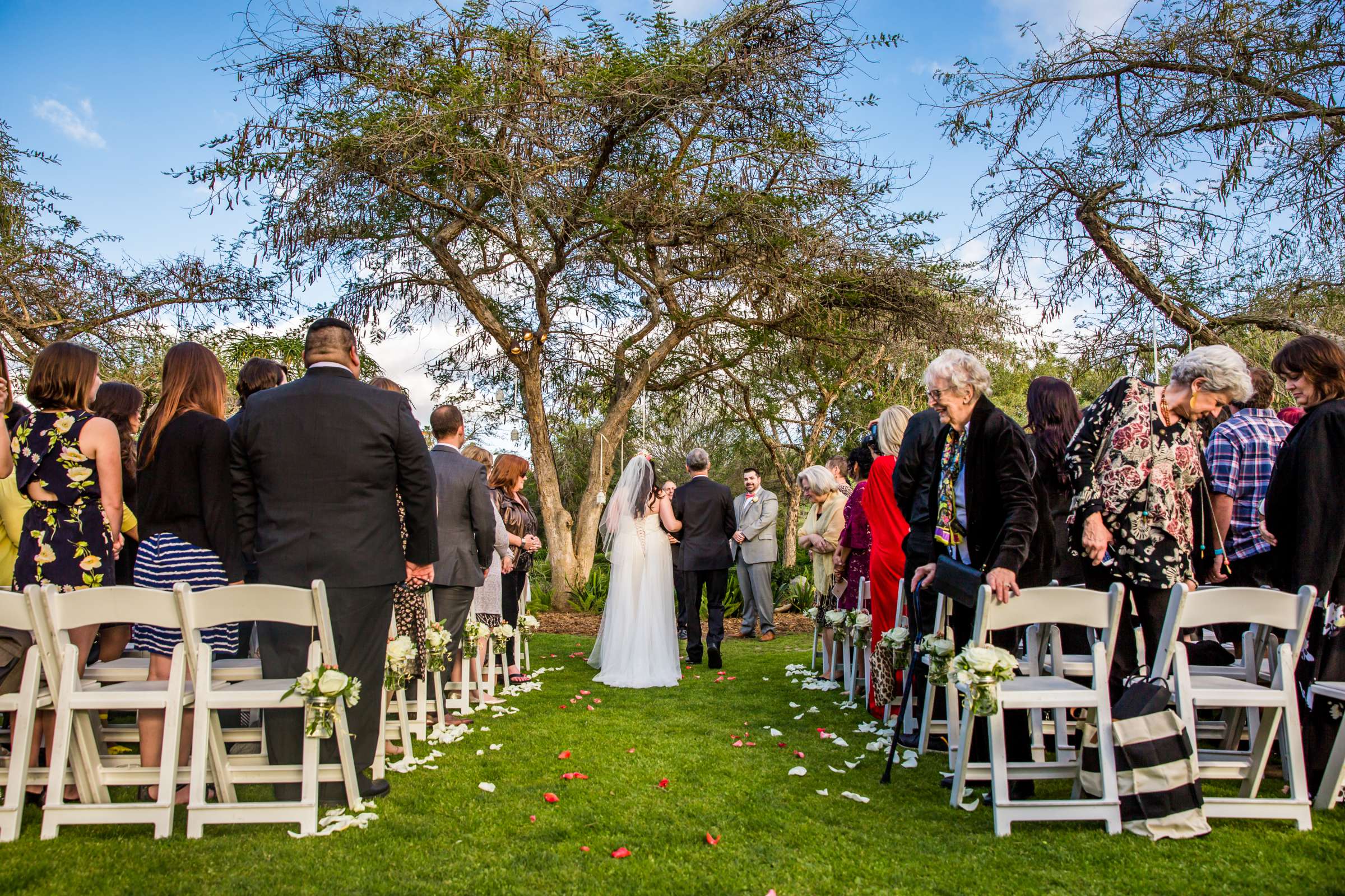 Safari Park Wedding, Jessica and Nick Wedding Photo #54 by True Photography