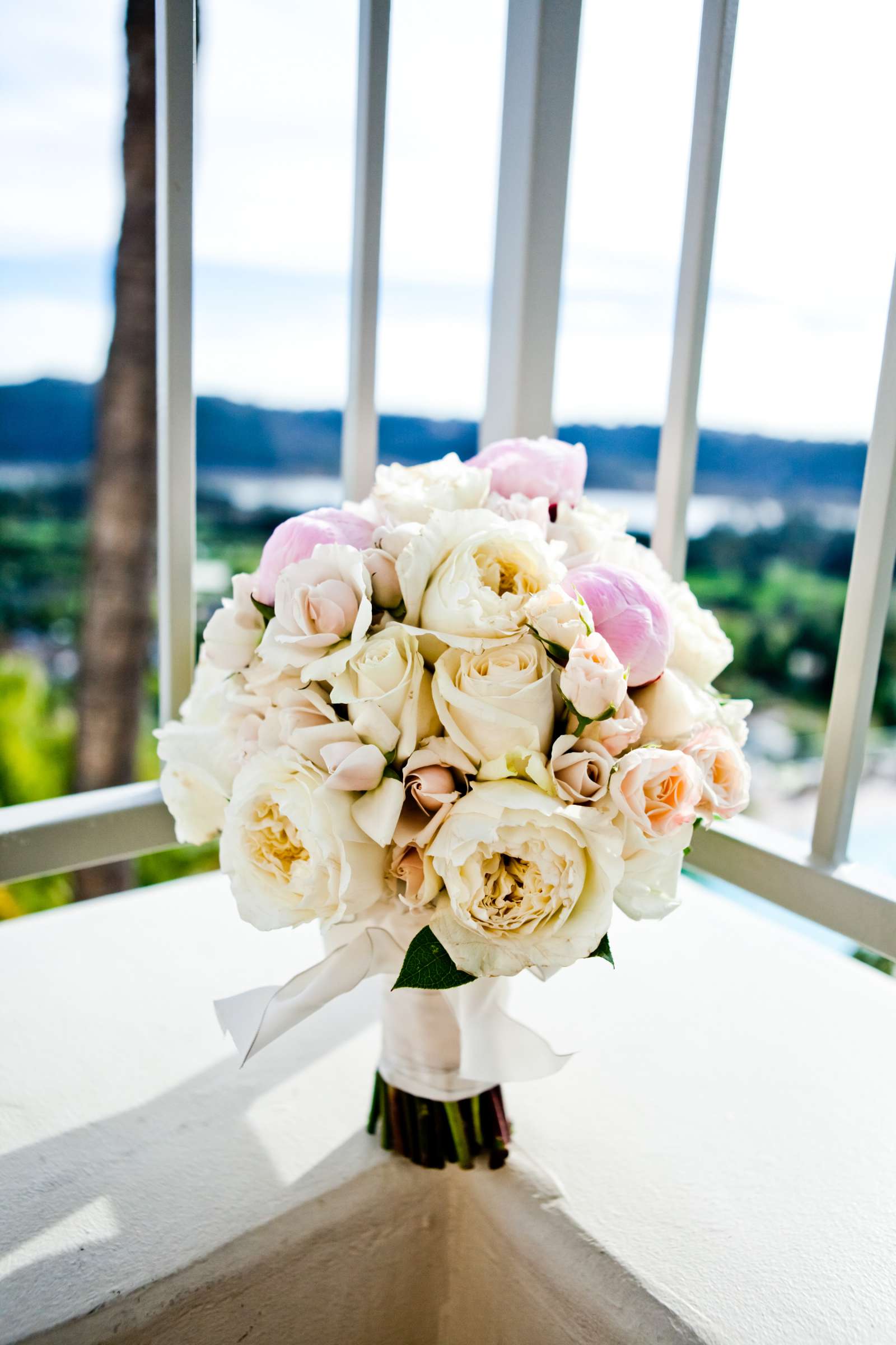 Park Hyatt Aviara Wedding coordinated by Victoria Weddings & Events, Brandy and Kabir Wedding Photo #346088 by True Photography