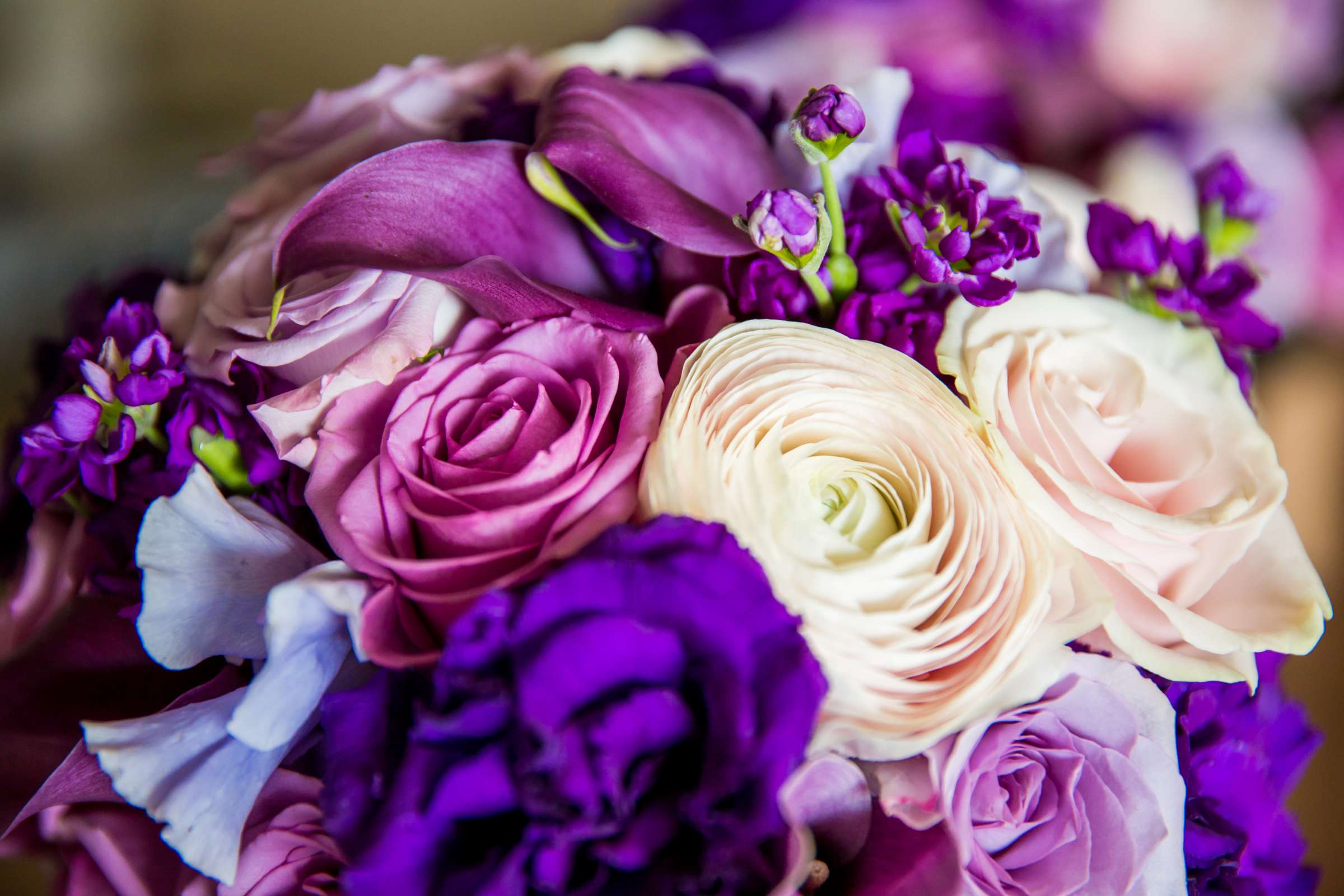 Catamaran Resort Wedding coordinated by Events Inspired SD, Vanessa and Akorli Wedding Photo #89 by True Photography