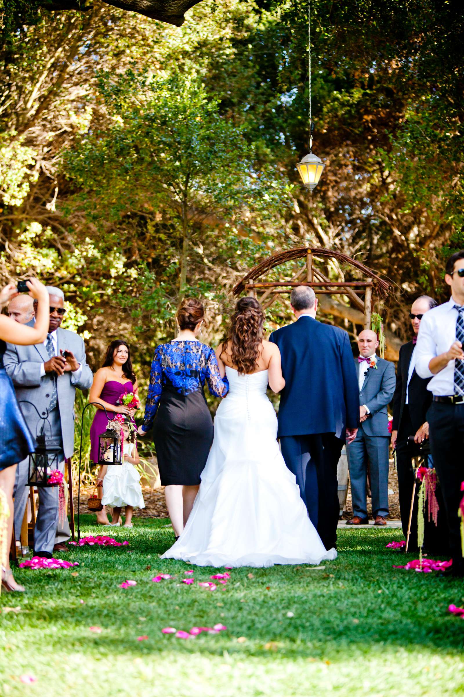 Wedding, Tamara and David Wedding Photo #347993 by True Photography