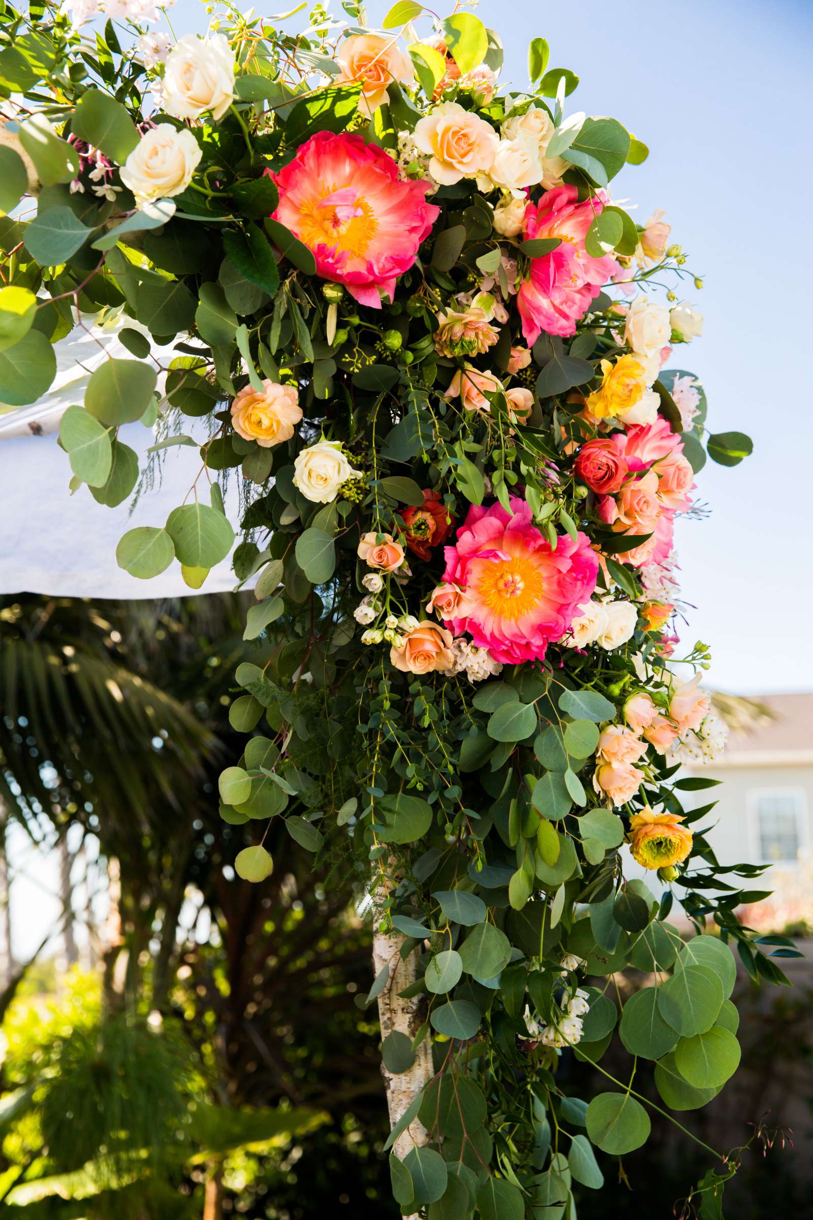 Cape Rey Wedding coordinated by EverAfter Events, Alexandra and Noah Wedding Photo #135 by True Photography