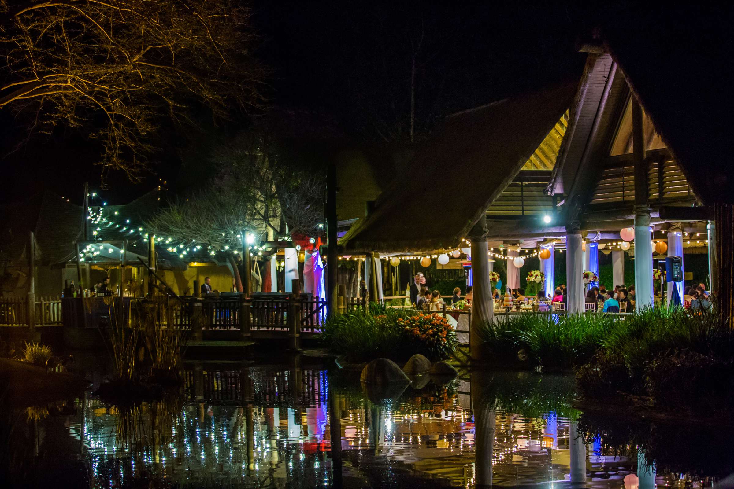 Safari Park Wedding, Jocelyn and Heras Wedding Photo #88 by True Photography