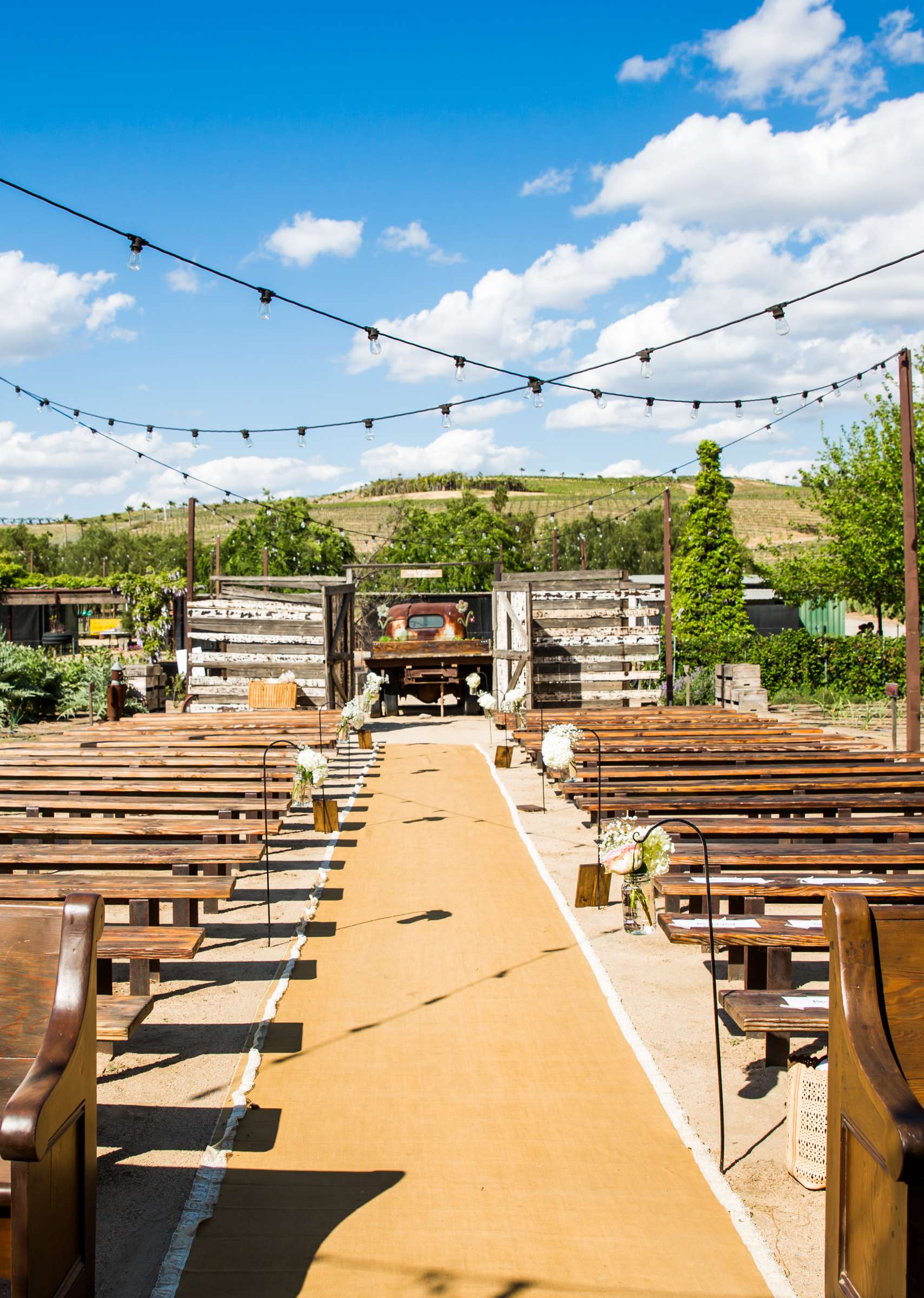 Peltzer Winery Wedding, Jaclyn and Nick Wedding Photo #208 by True Photography