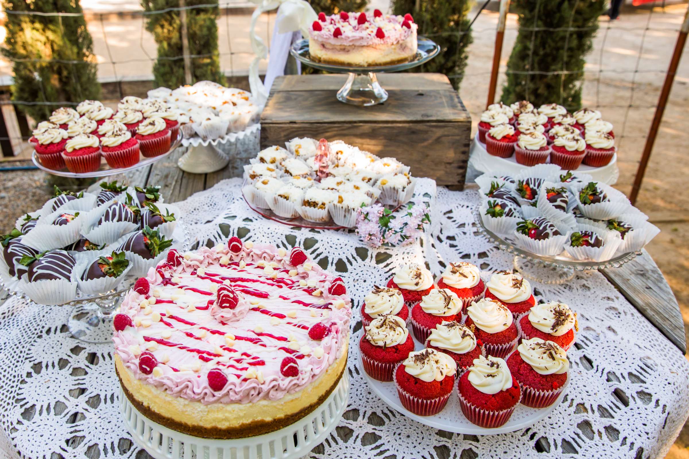 Peltzer Winery Wedding, Jaclyn and Nick Wedding Photo #99 by True Photography