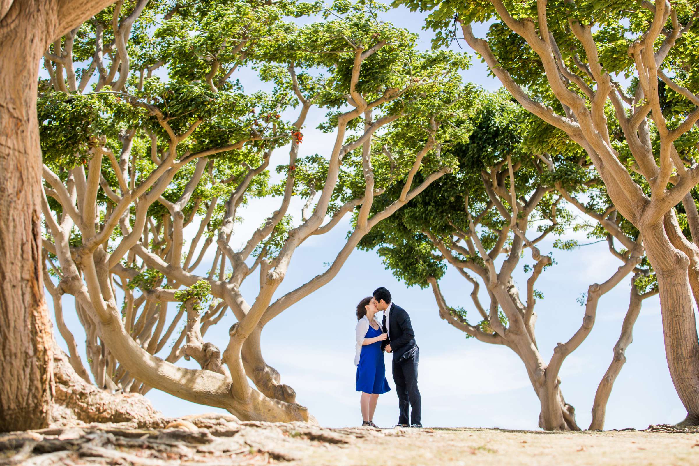 Engagement, Renee and Kenneth Engagement Photo #352311 by True Photography