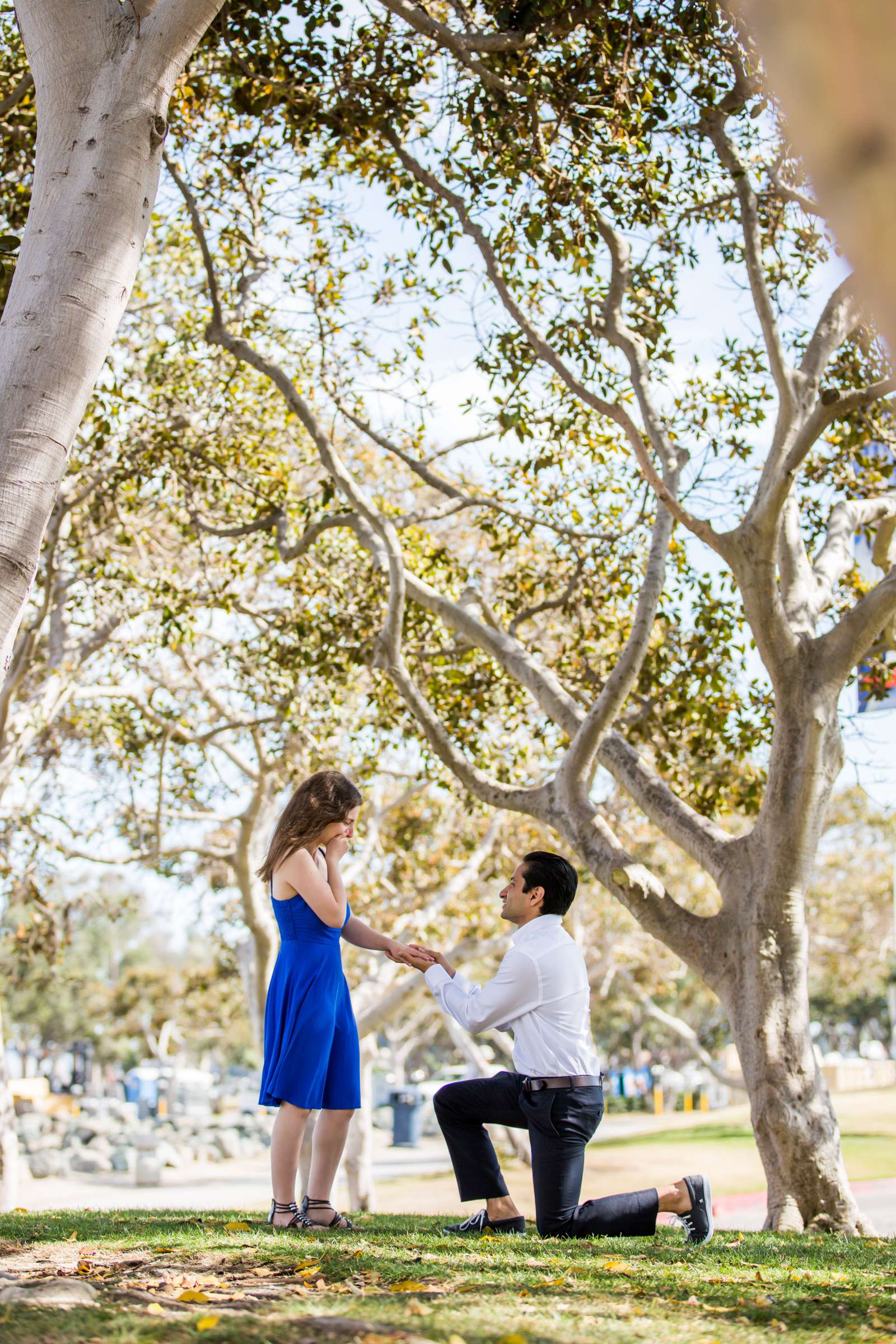 Engagement, Renee and Kenneth Engagement Photo #352333 by True Photography