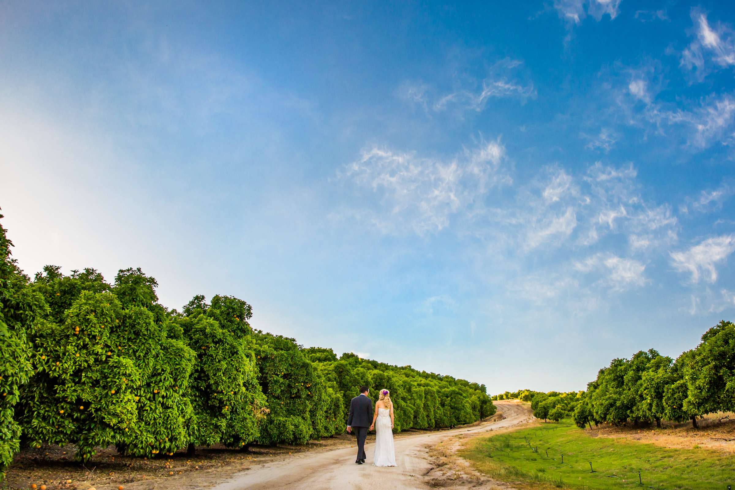 Masia de la Vinya Wedding coordinated by Michelle Garibay Events, Brenna and Tim Wedding Photo #352528 by True Photography