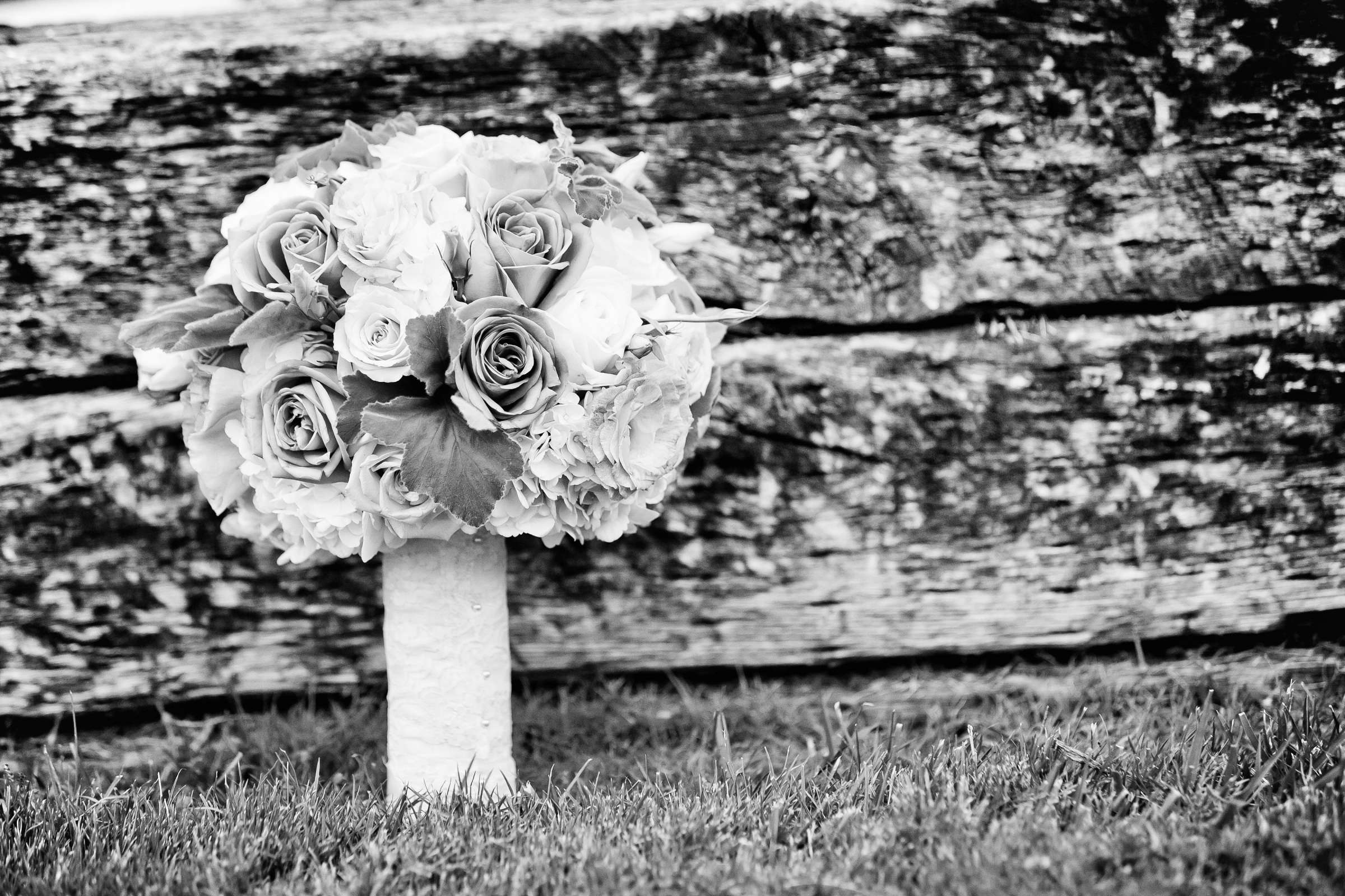 Hilton La Jolla Torrey Pines Wedding coordinated by Crown Weddings, Parisa and Kaveh Wedding Photo #352763 by True Photography