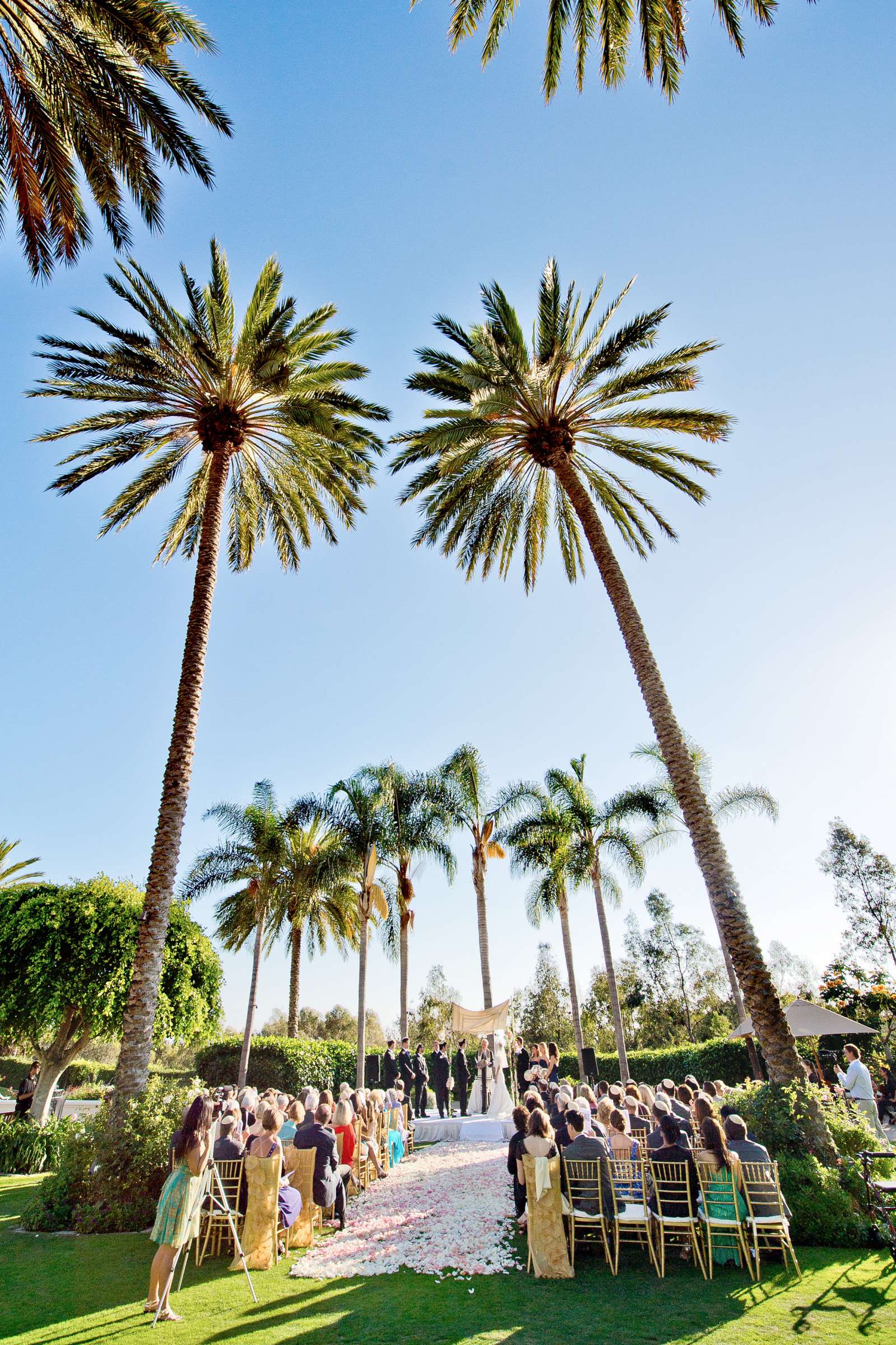 Park Hyatt Aviara Wedding, Jessica and Adam Wedding Photo #353432 by True Photography