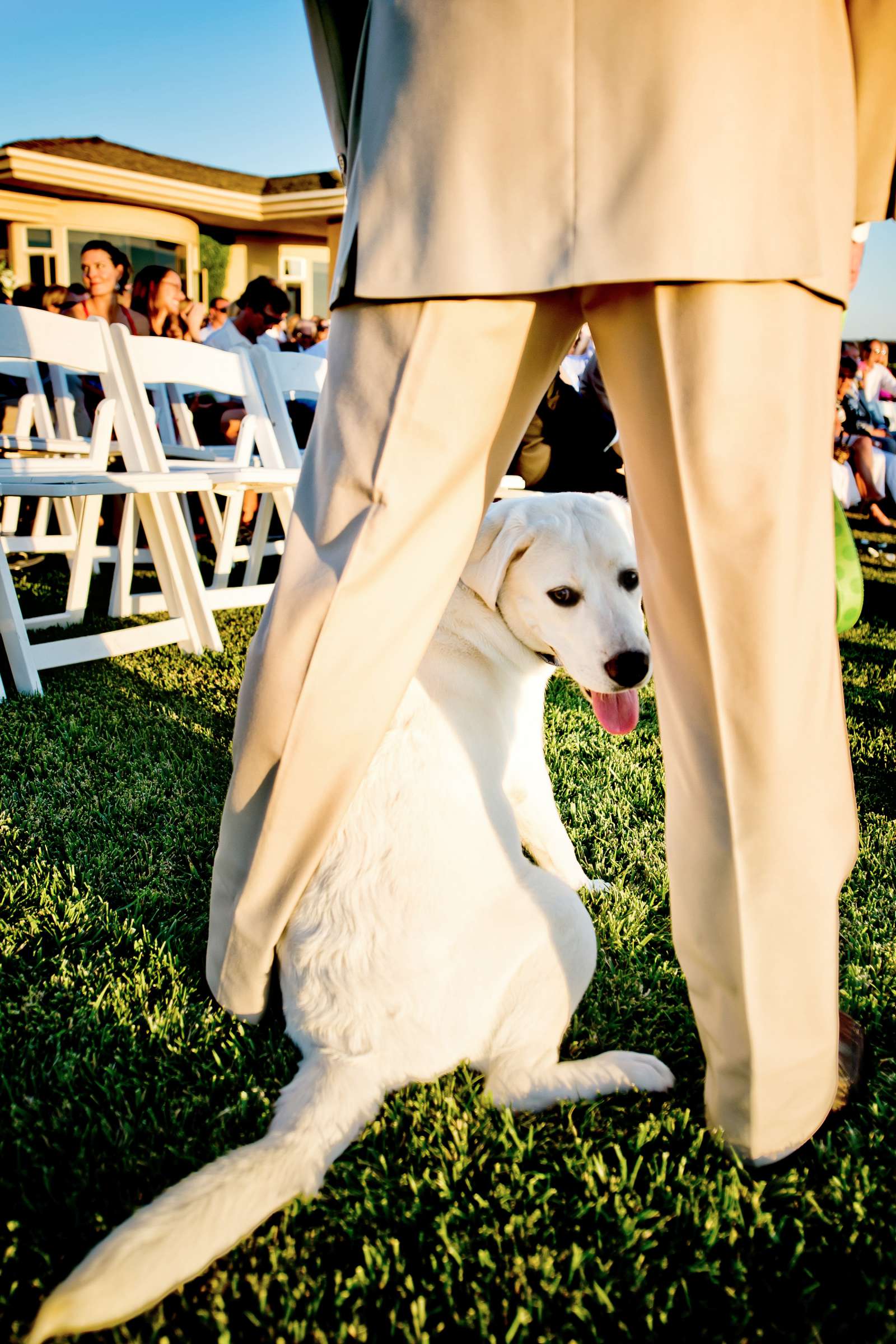 Wedding coordinated by InStyle Event Planning, Heidi and Sean Wedding Photo #354634 by True Photography