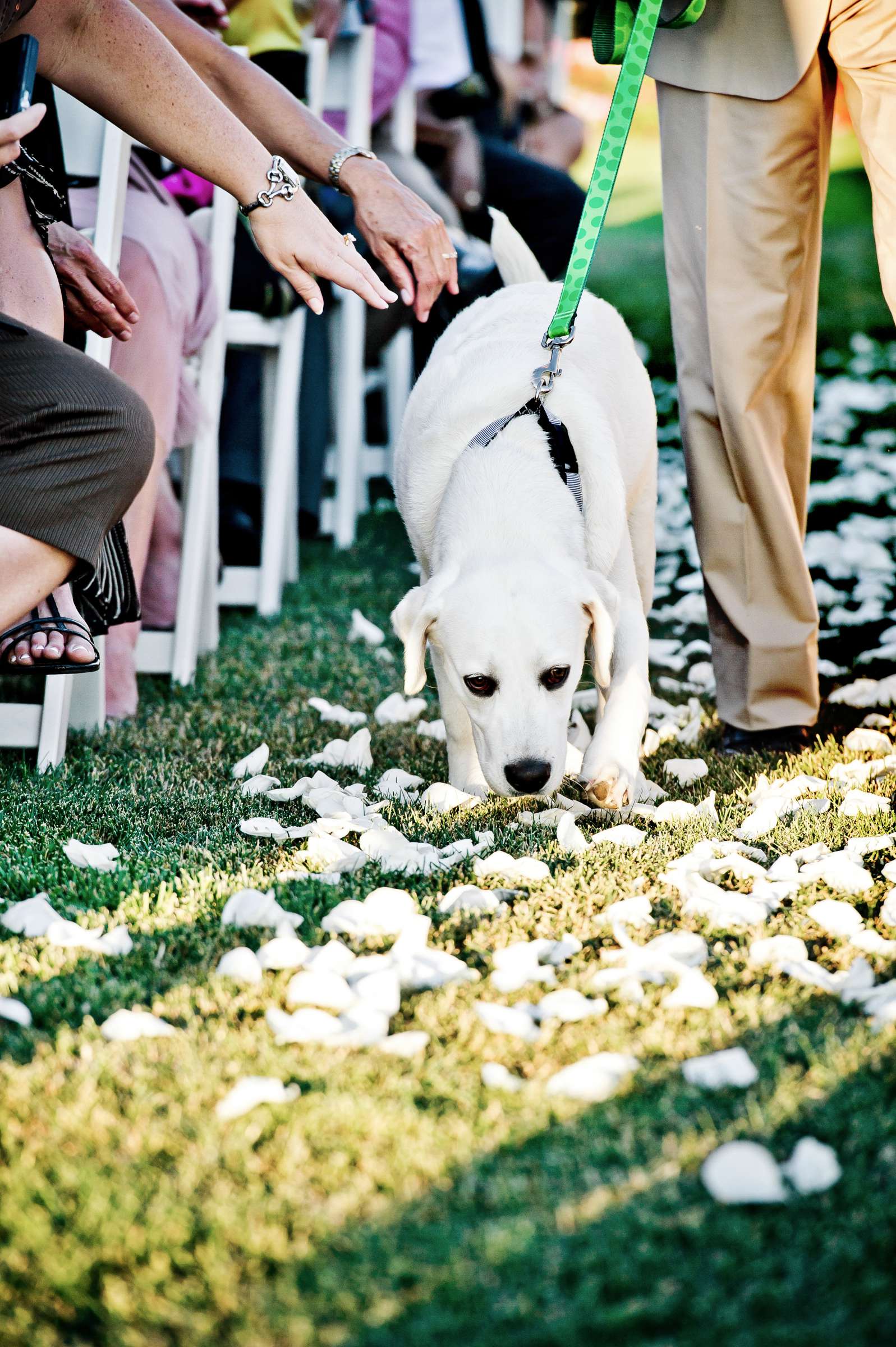 Wedding coordinated by InStyle Event Planning, Heidi and Sean Wedding Photo #354664 by True Photography