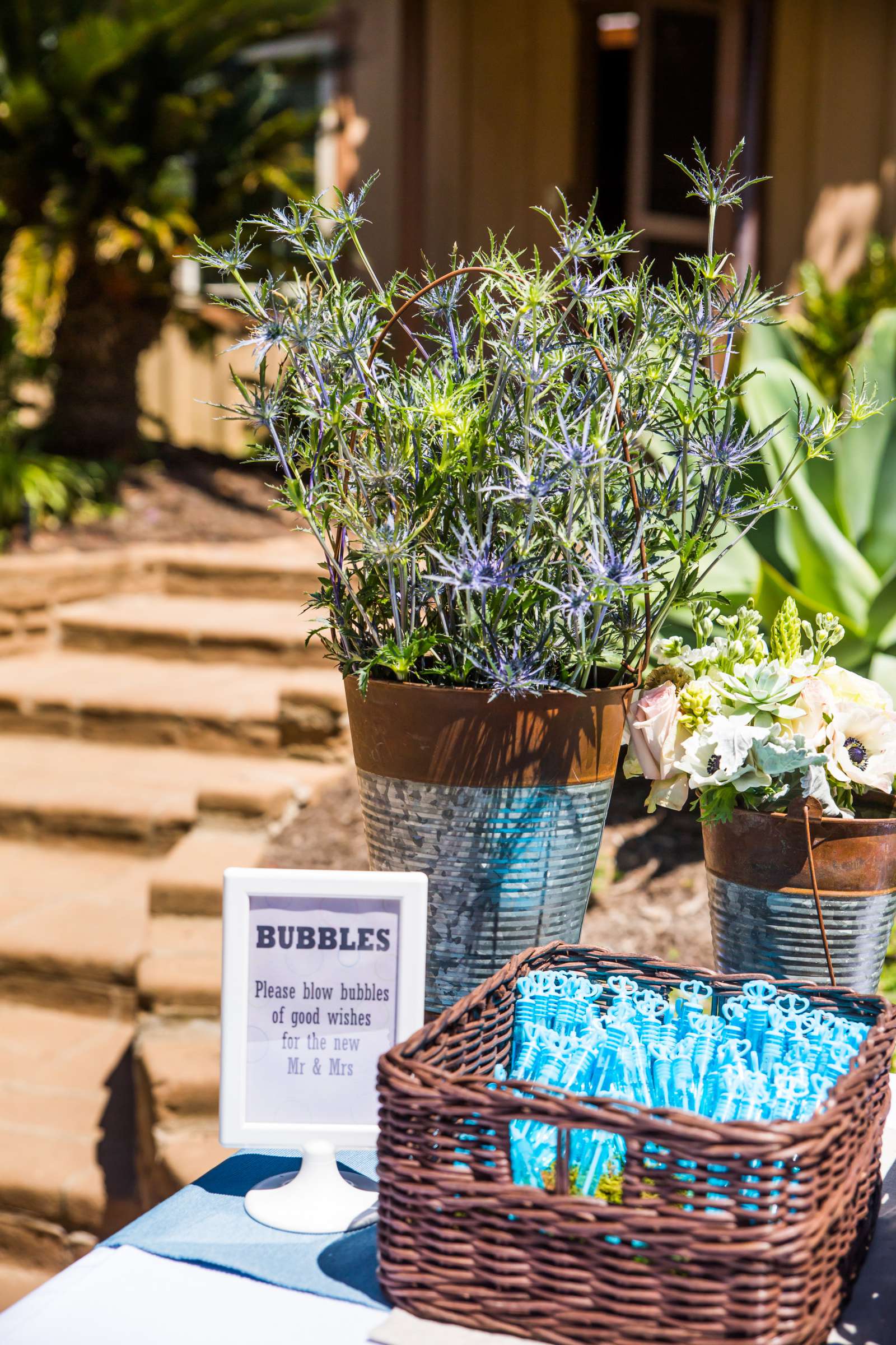 San Diego Botanic Garden Wedding, Alicia and Justin Wedding Photo #87 by True Photography