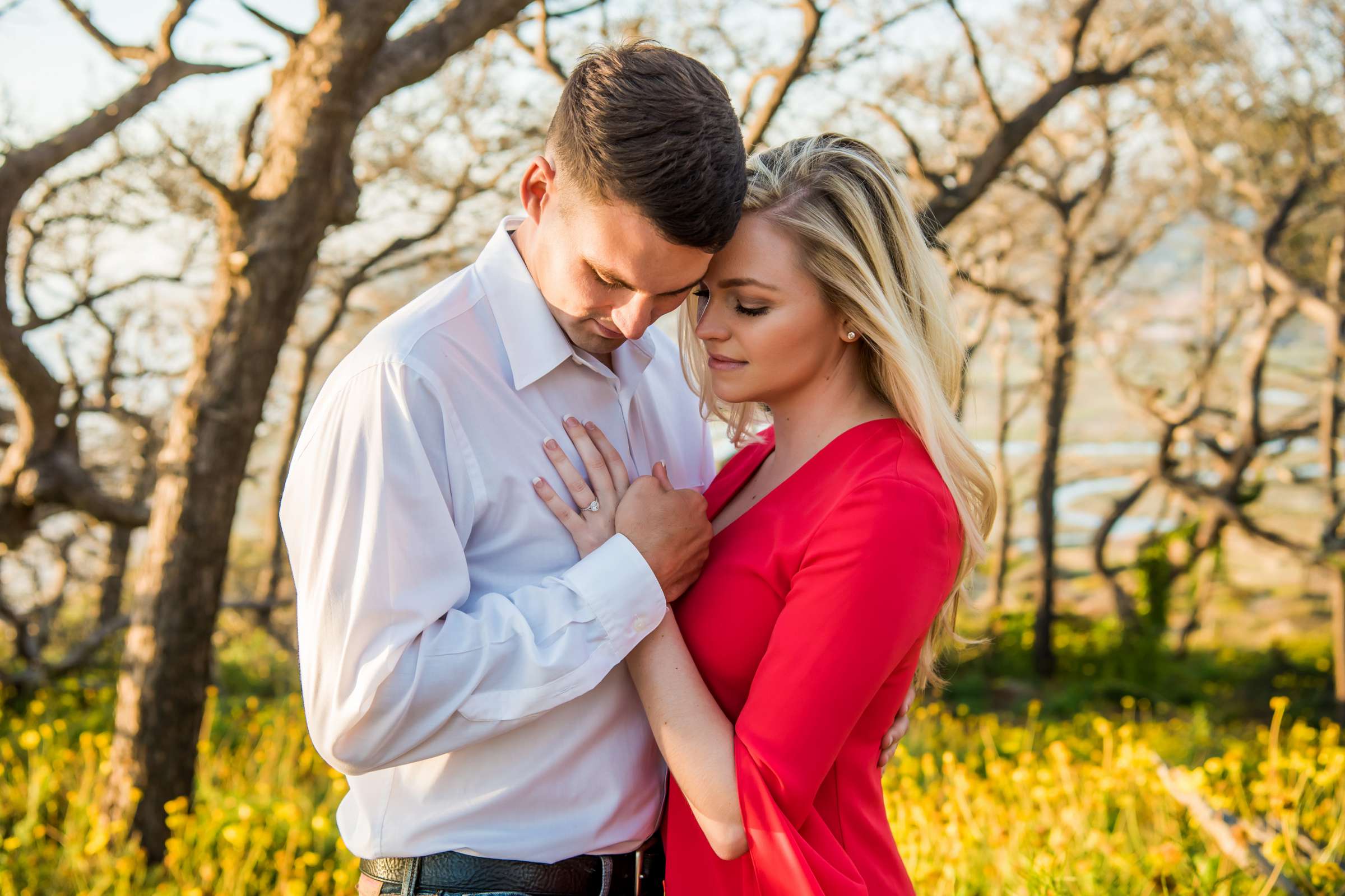 Engagement, Dana and Christopher Engagement Photo #357285 by True Photography