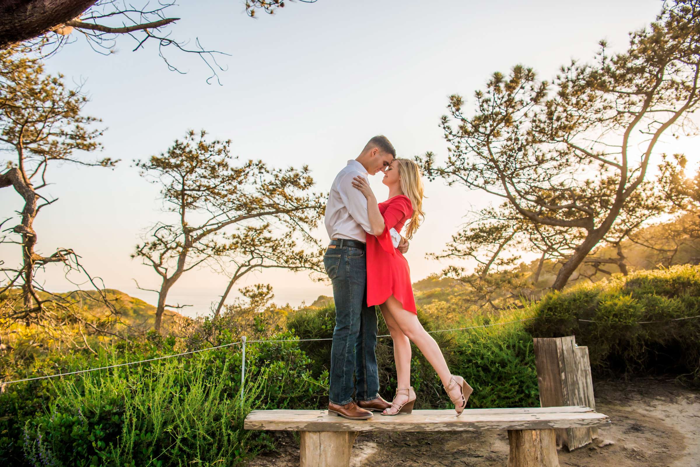 Engagement, Dana and Christopher Engagement Photo #357294 by True Photography