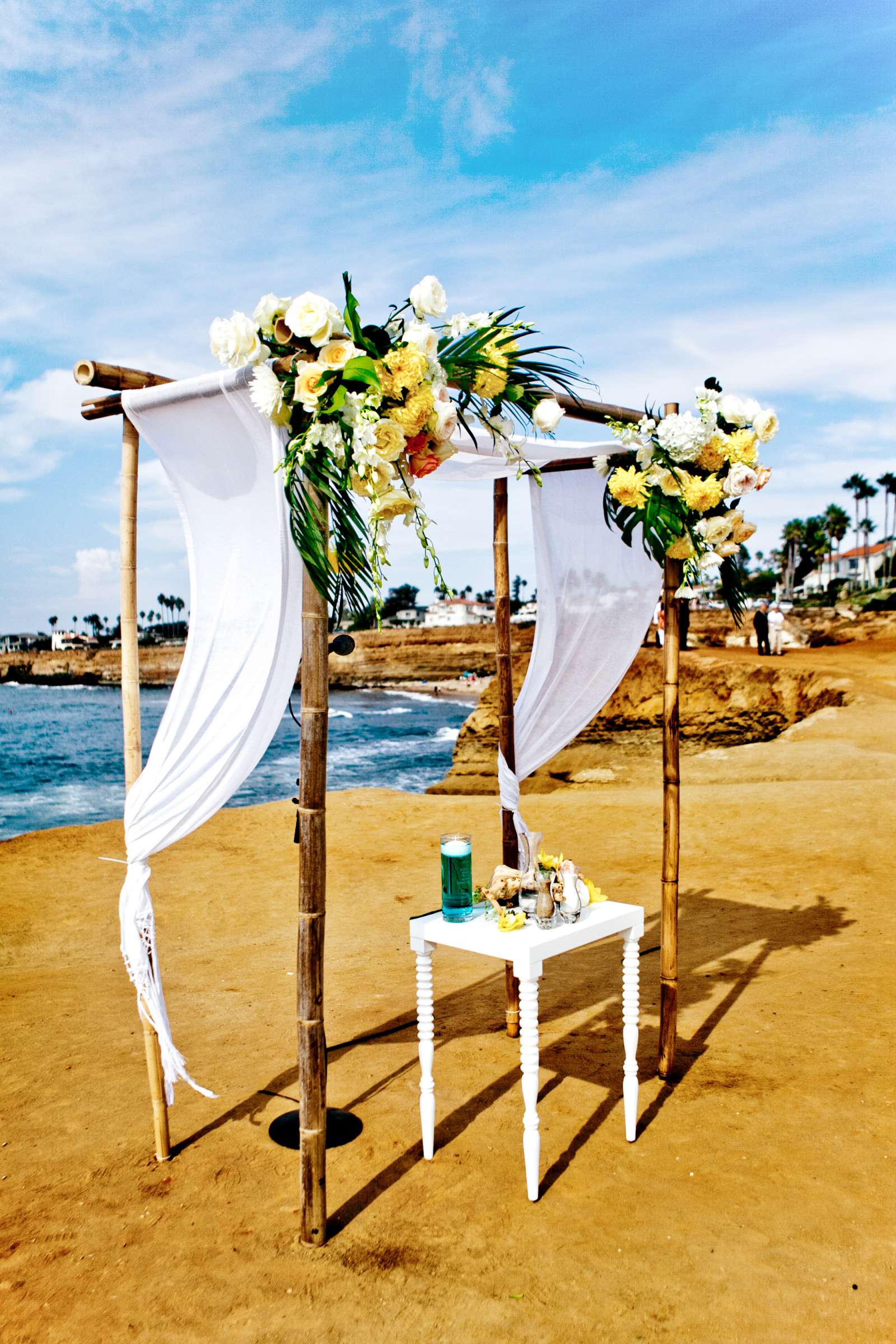 Birch Aquarium at Scripps Wedding coordinated by Amorology Weddings, Erica and Nick Wedding Photo #359972 by True Photography