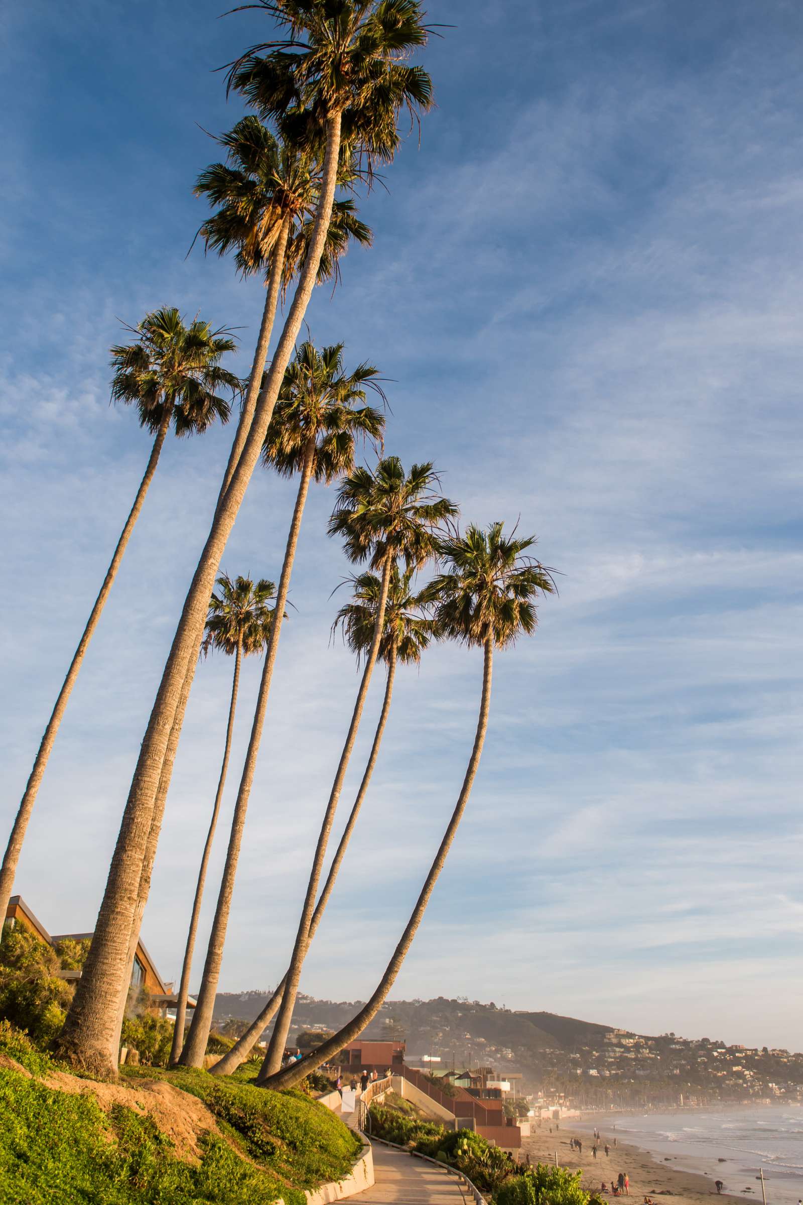 Scripps Seaside Forum Wedding coordinated by Vision Made Events, Marlen and Vince Wedding Photo #57 by True Photography