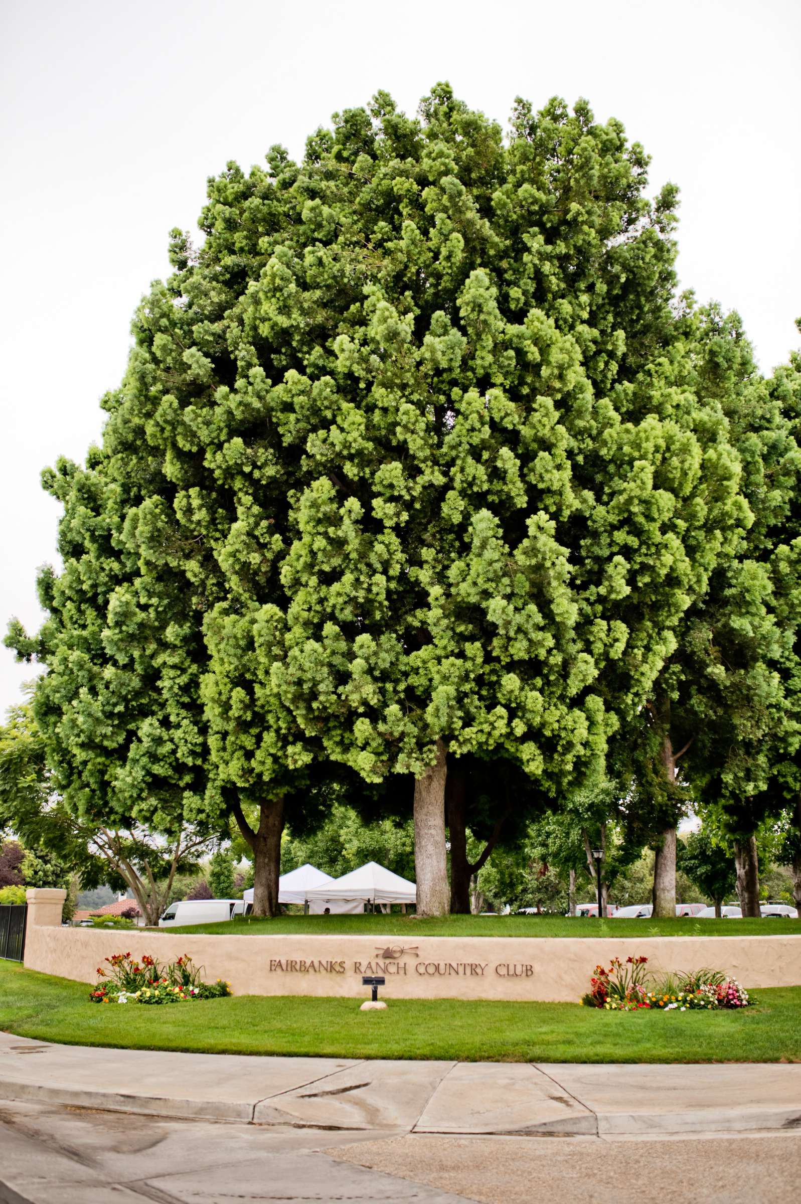 Fairbanks Ranch Country Club Wedding, Erin and Patrick Wedding Photo #361975 by True Photography