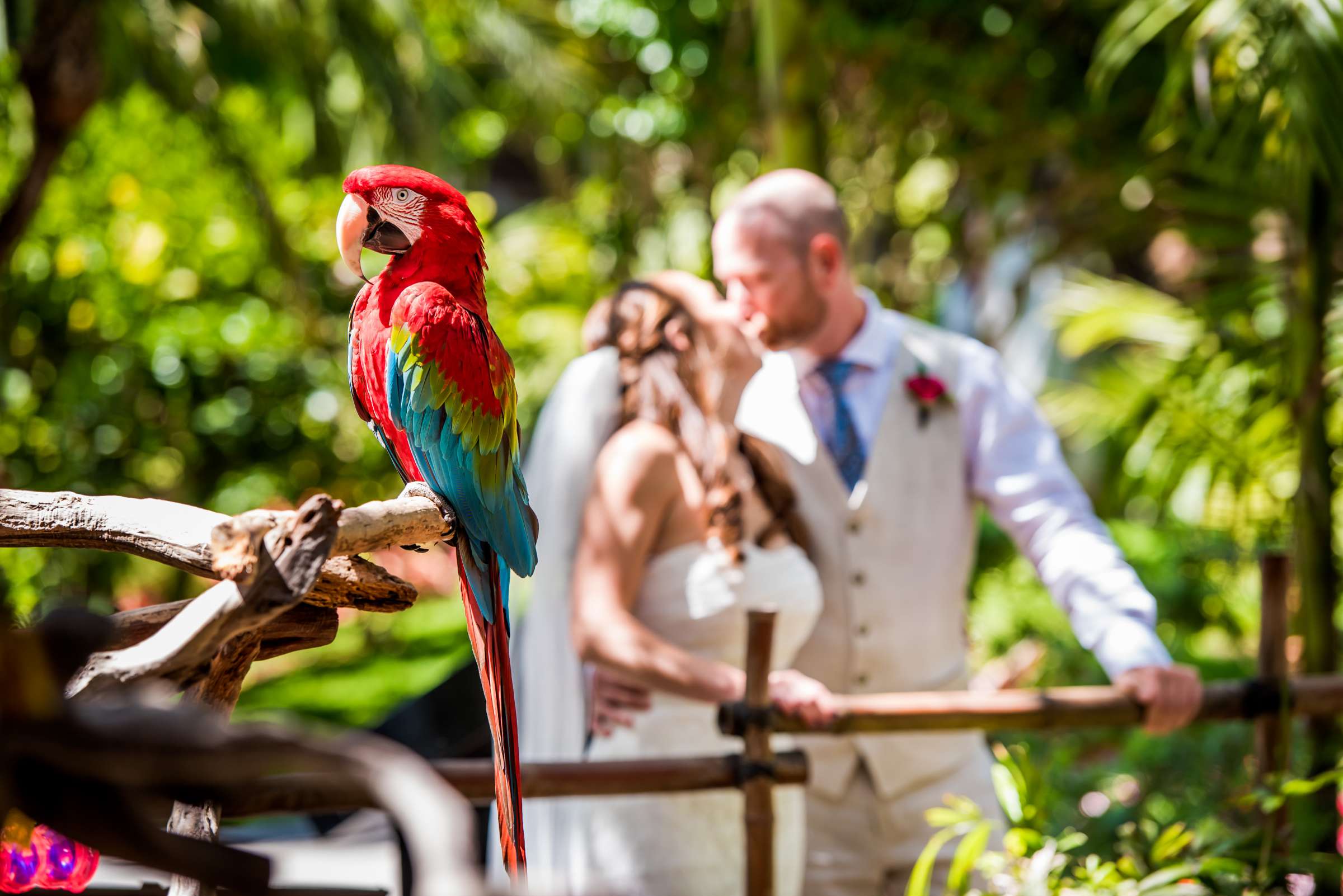 Catamaran Resort Wedding coordinated by It's All Happening! Events, Risa and John Wedding Photo #361976 by True Photography