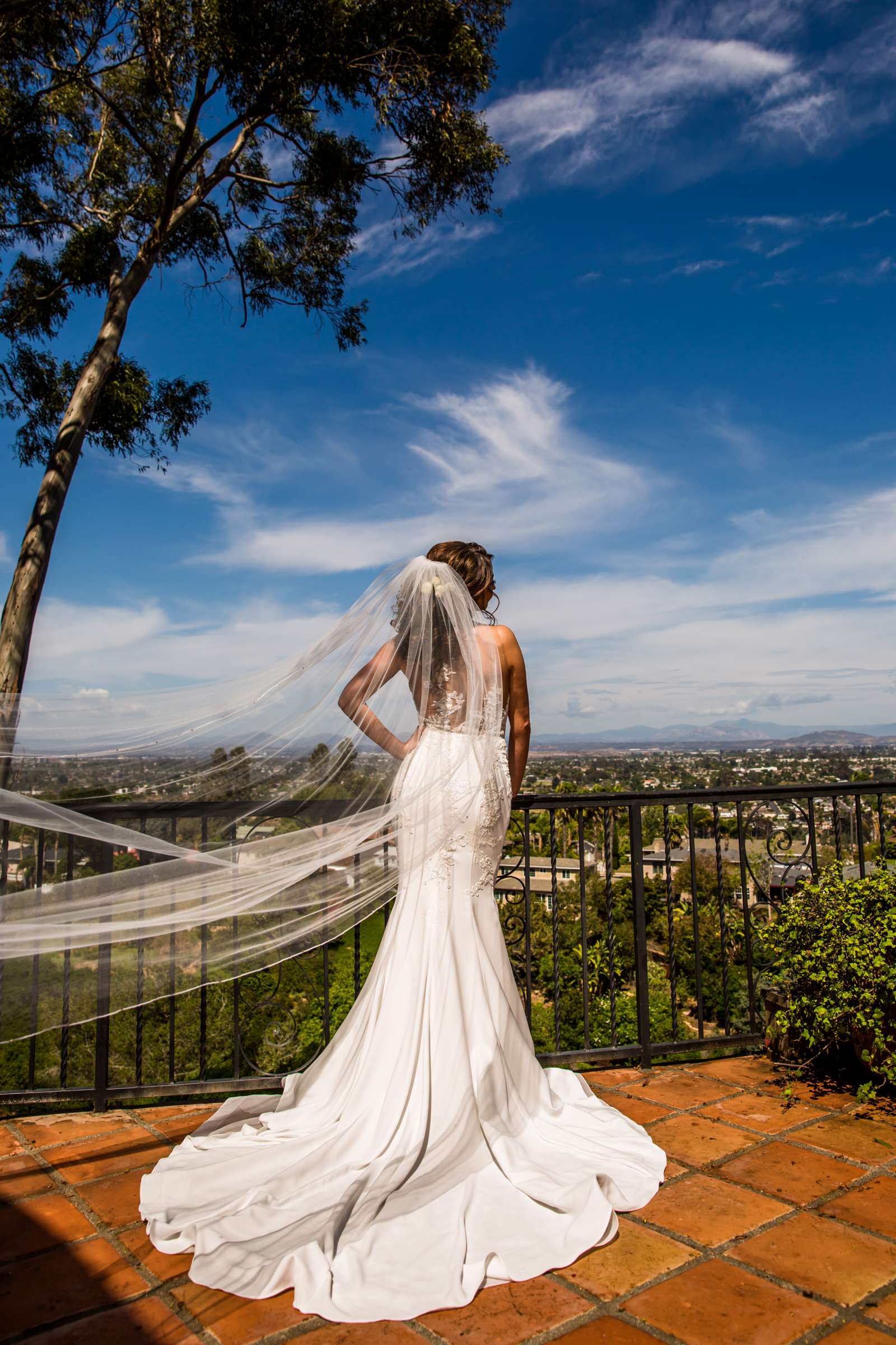 Cuvier Club Wedding, Leandra and Adolfo Wedding Photo #363531 by True Photography