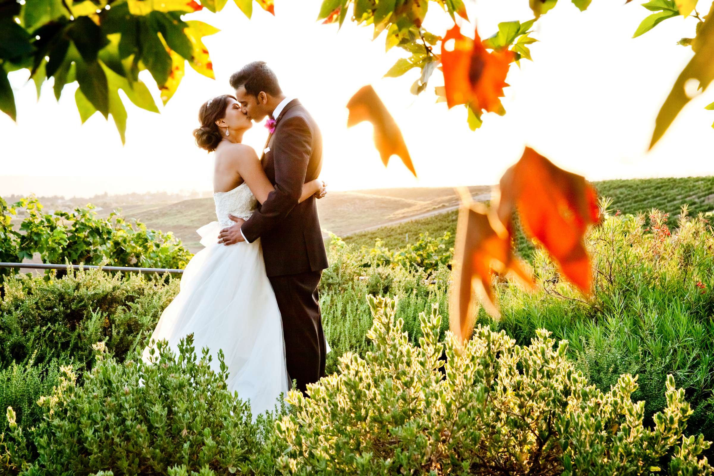 Callaway Vineyards & Winery Wedding coordinated by Michelle Garibay Events, Naomi and Partho Wedding Photo #367761 by True Photography