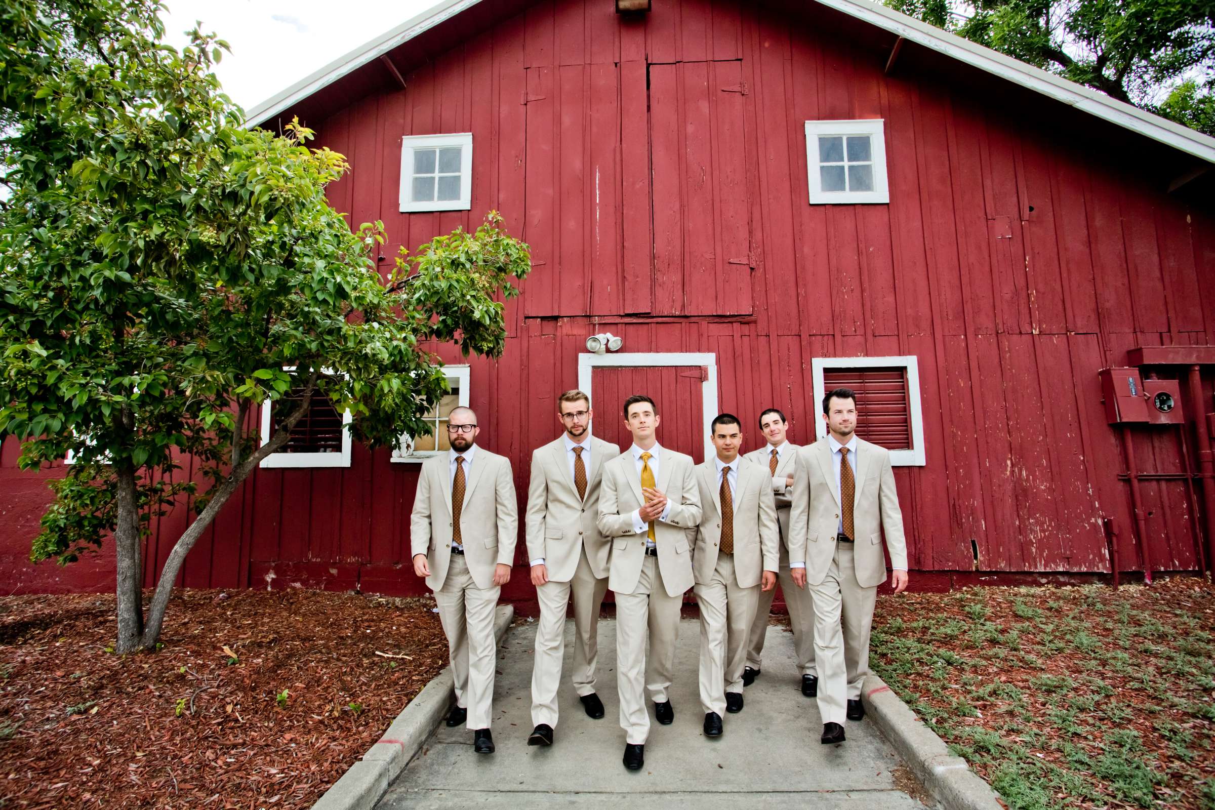 The Barn at Raccoon Creek Wedding, Nicole and Taylor Wedding Photo #372803 by True Photography