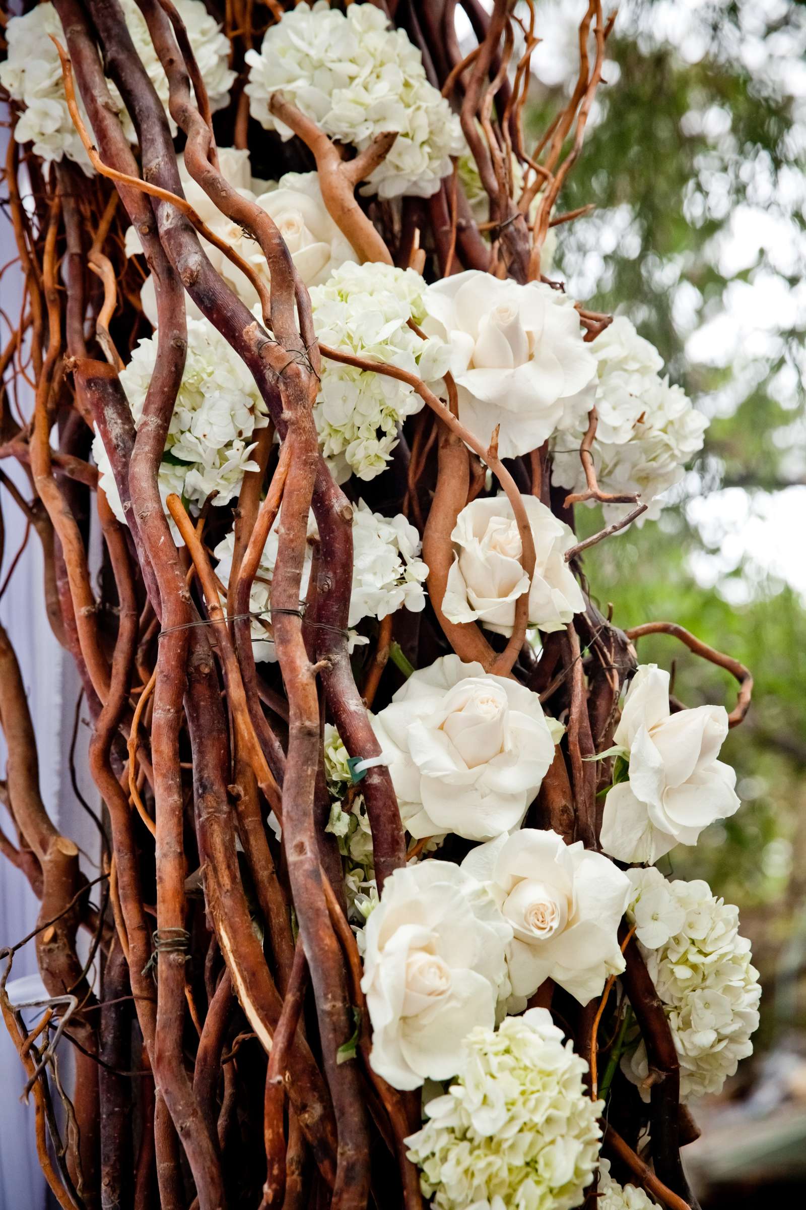 Calamigos Ranch Wedding coordinated by No Worries Event Planning, Tamara and Ilusha Wedding Photo #374204 by True Photography