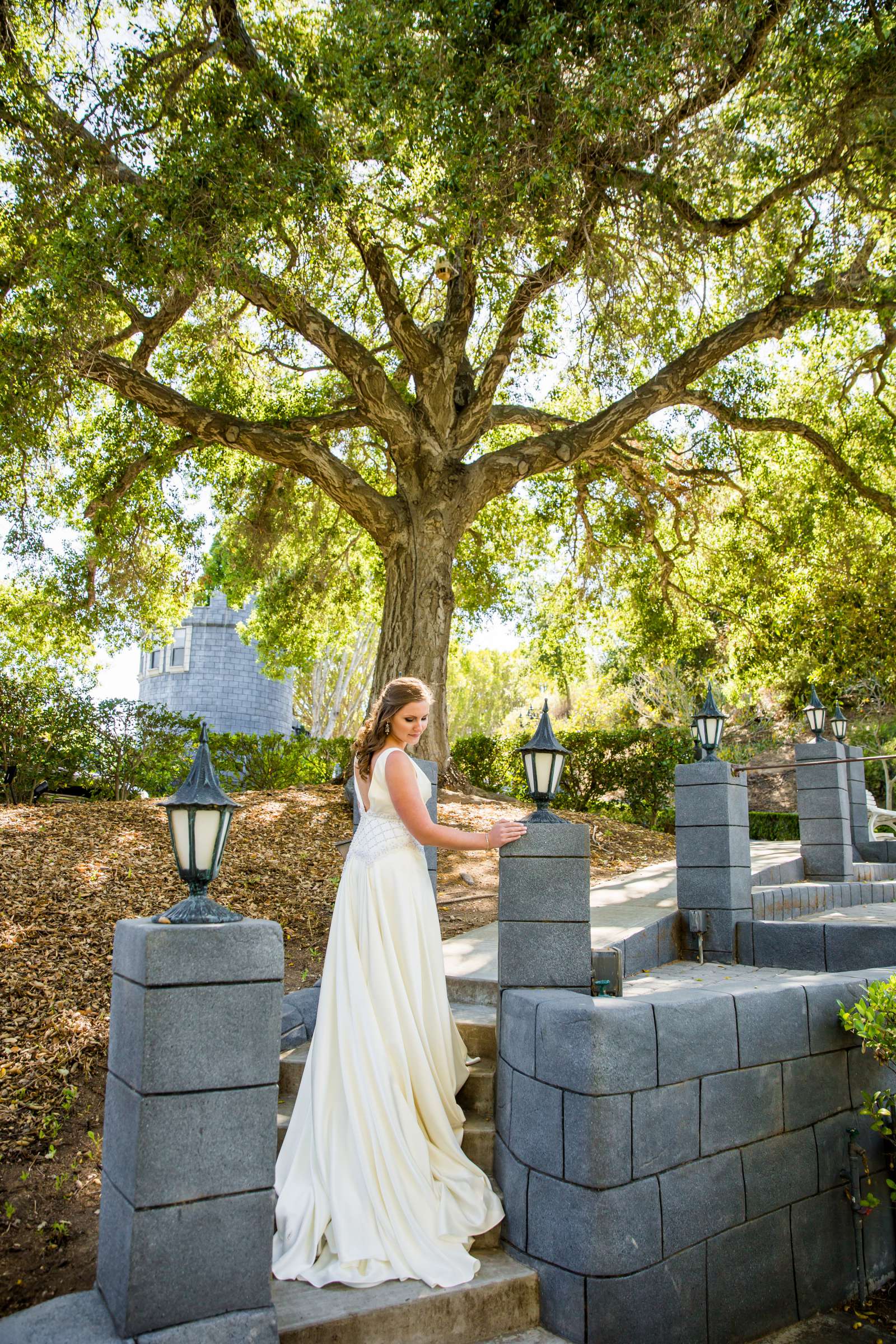 Wedding, Tara and William (Ben) Wedding Photo #374317 by True Photography